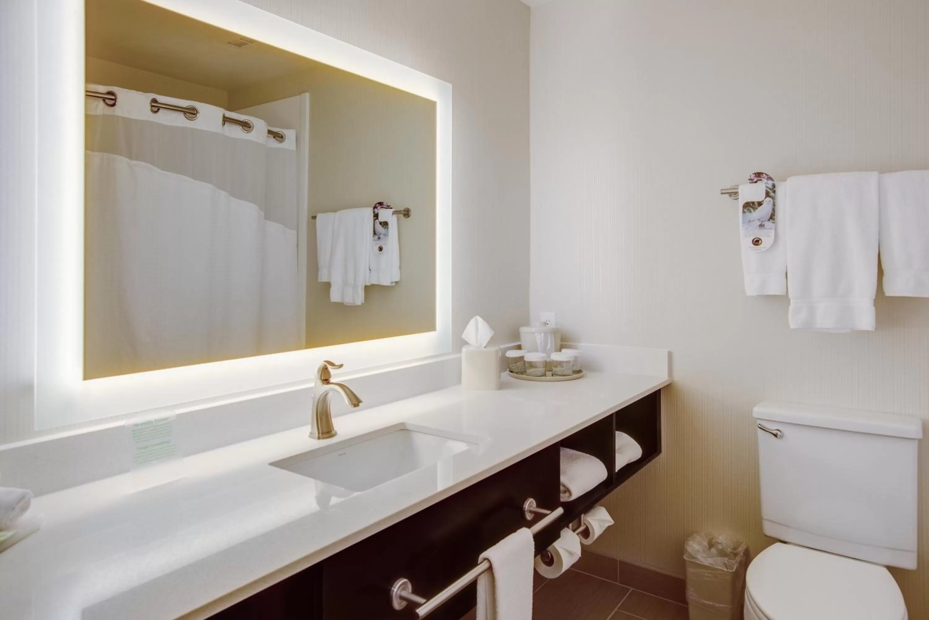 Bathroom in Holiday Inn Express Bellingham by IHG