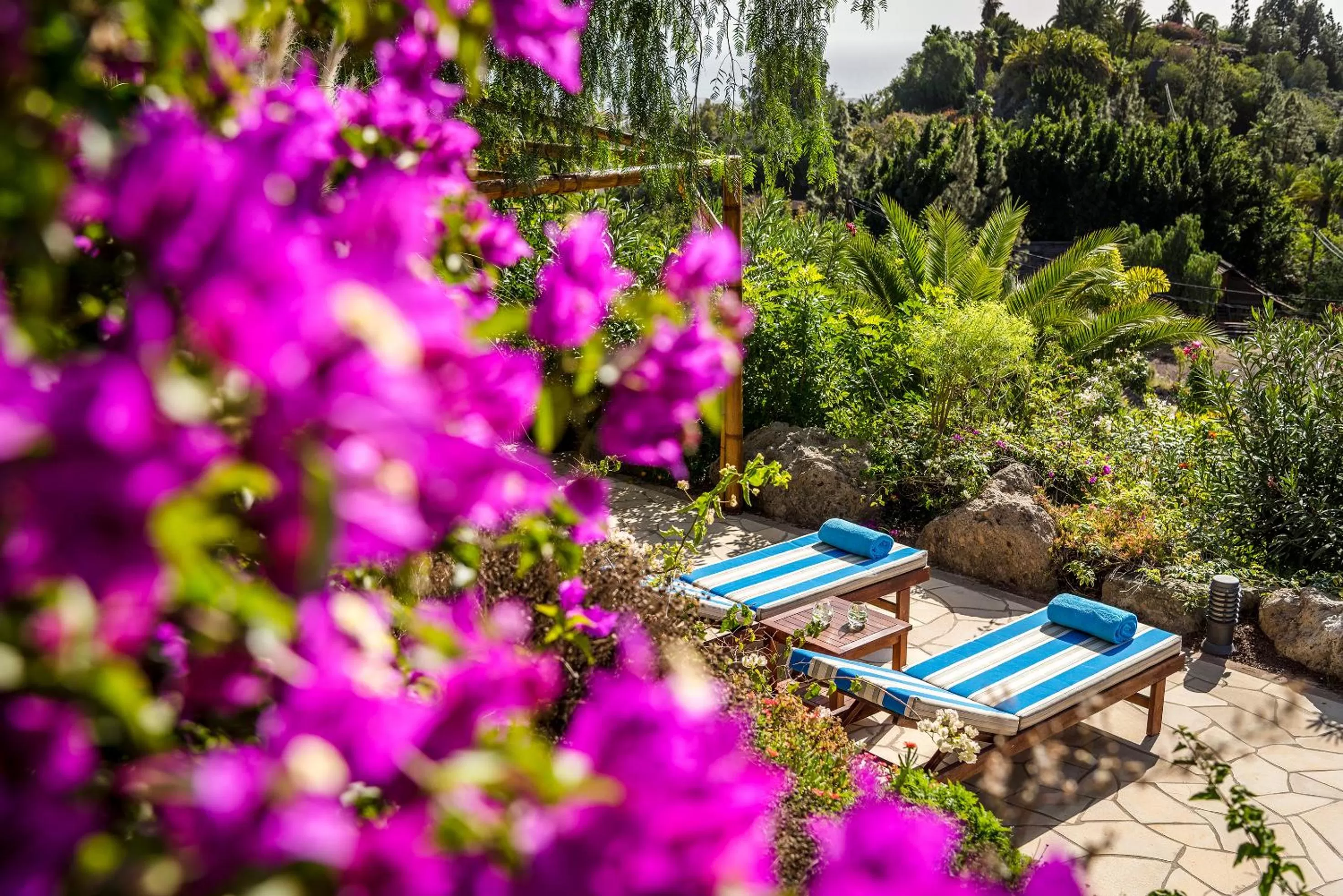 Garden view in Casa León Royal Retreat
