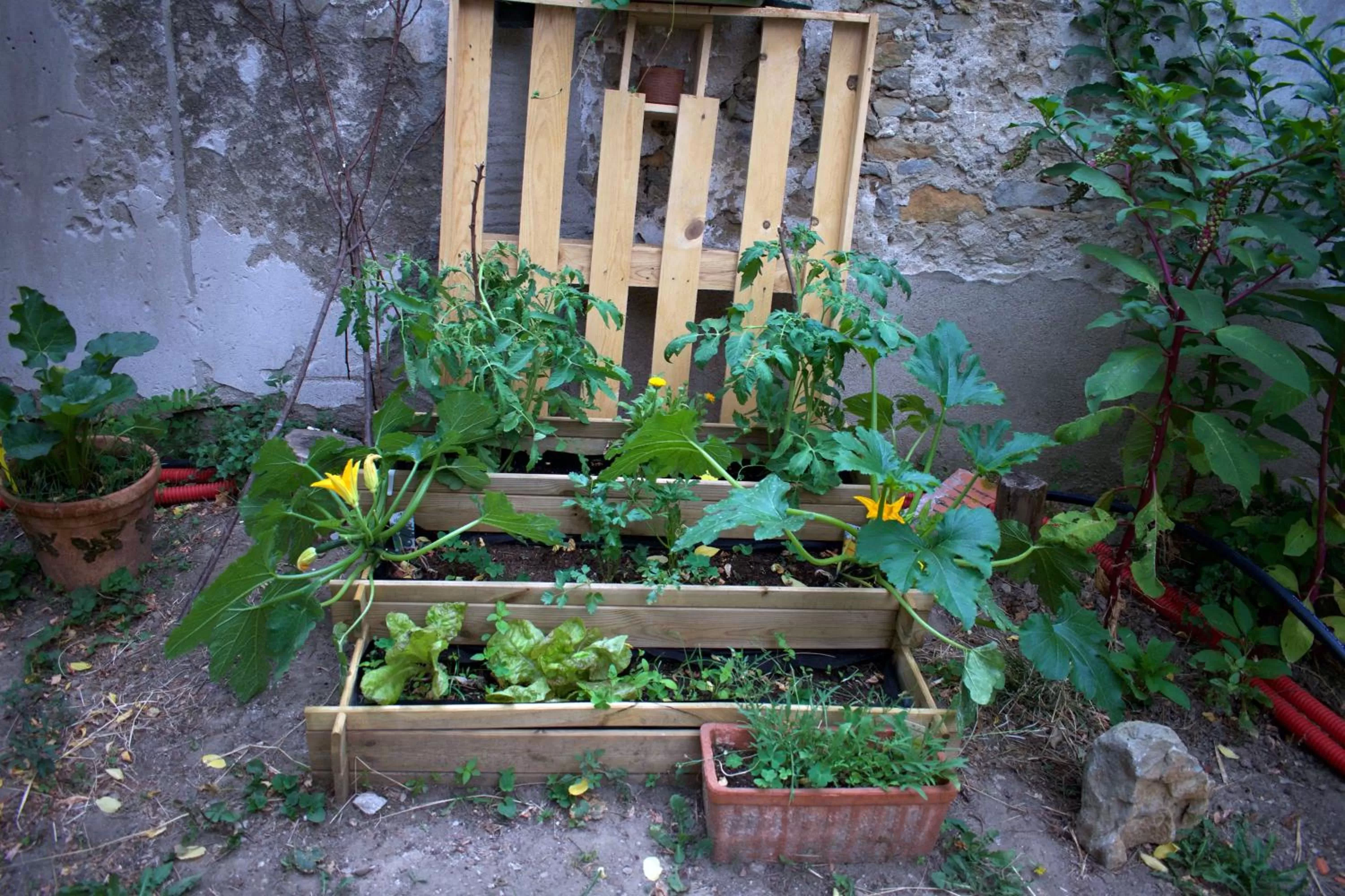 Garden in Art Home BnB