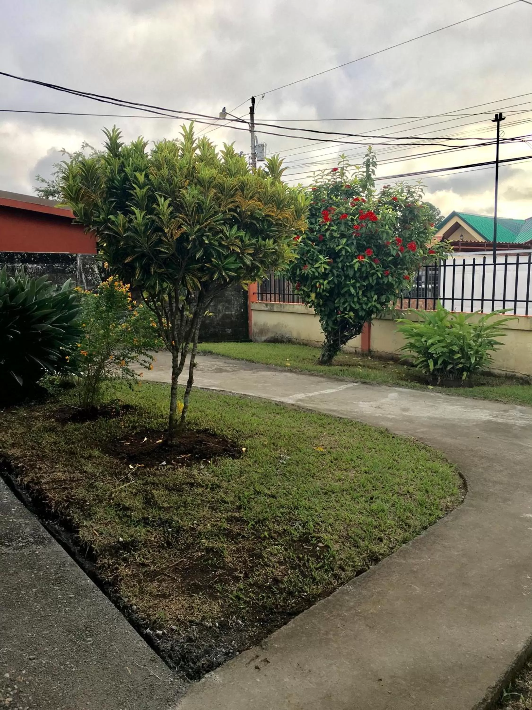 Garden in Hotel Your House