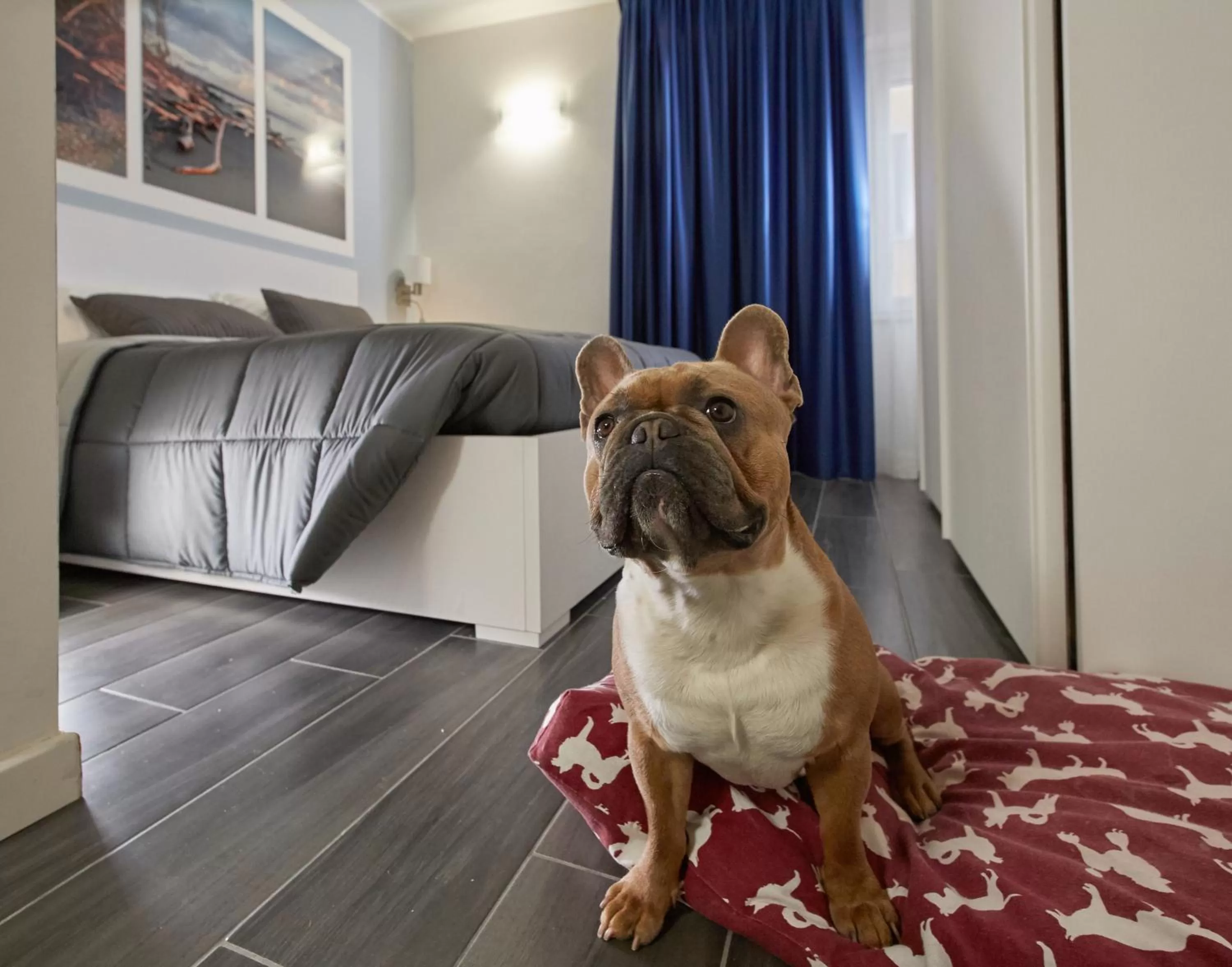 Animals in Best Vasto