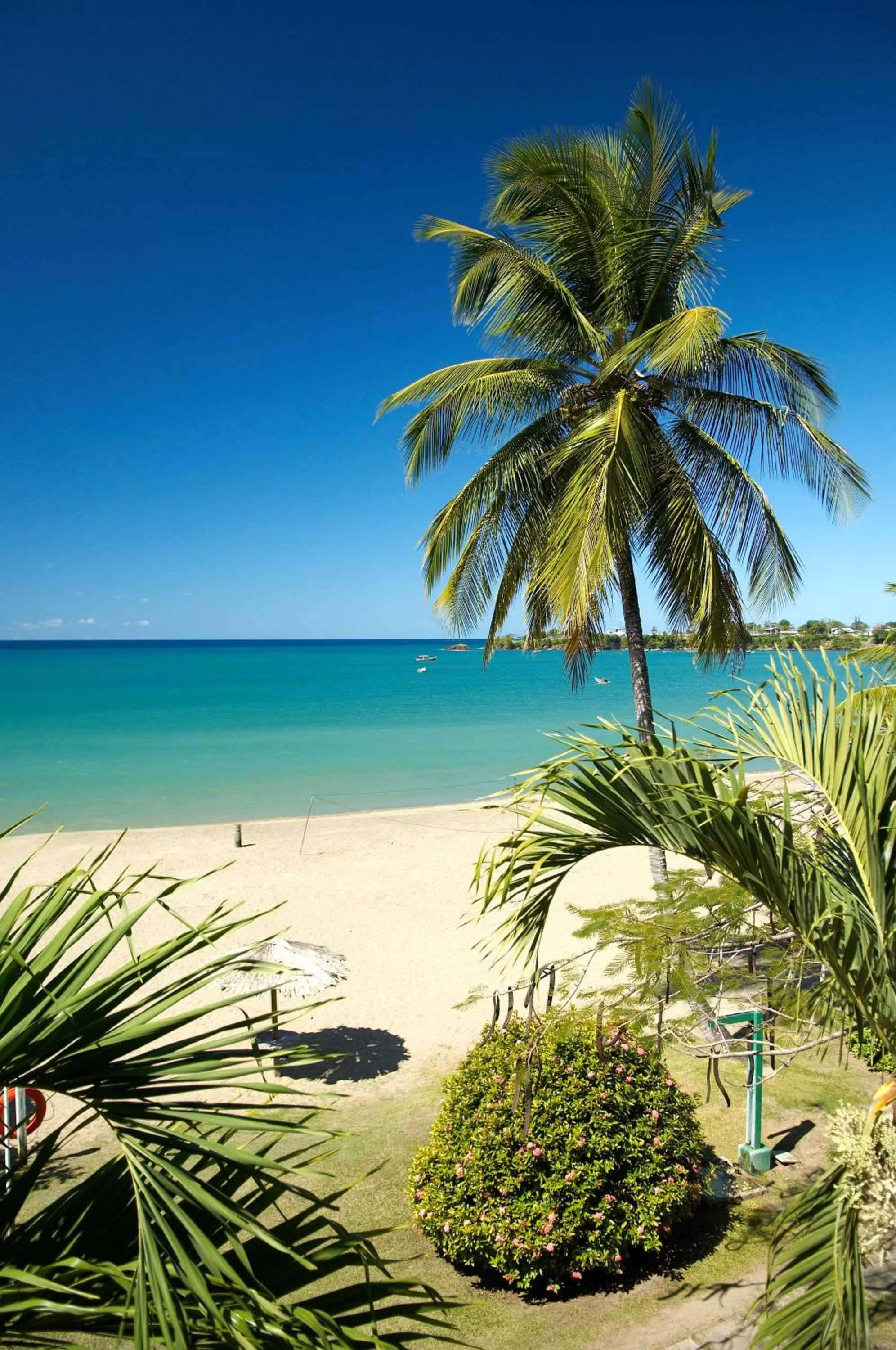 Day in Starfish Tobago