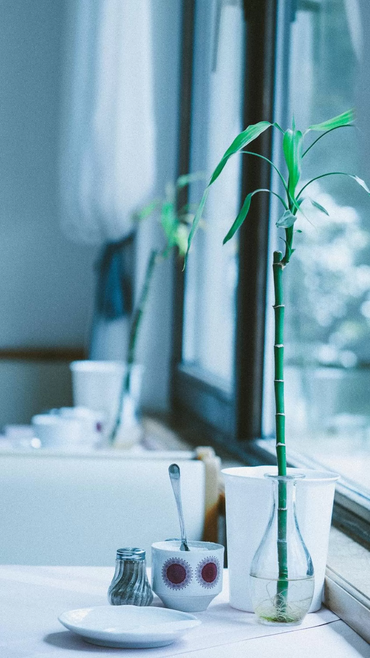 Food and drinks in Hotel Büchner Garni