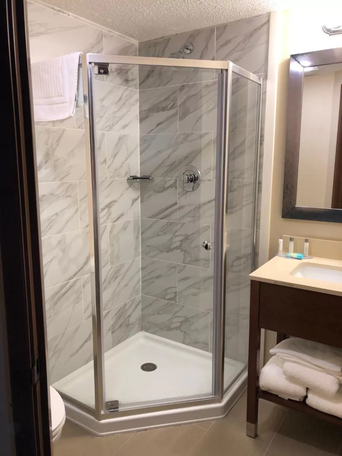 Shower in Wingate by Wyndham Grove City