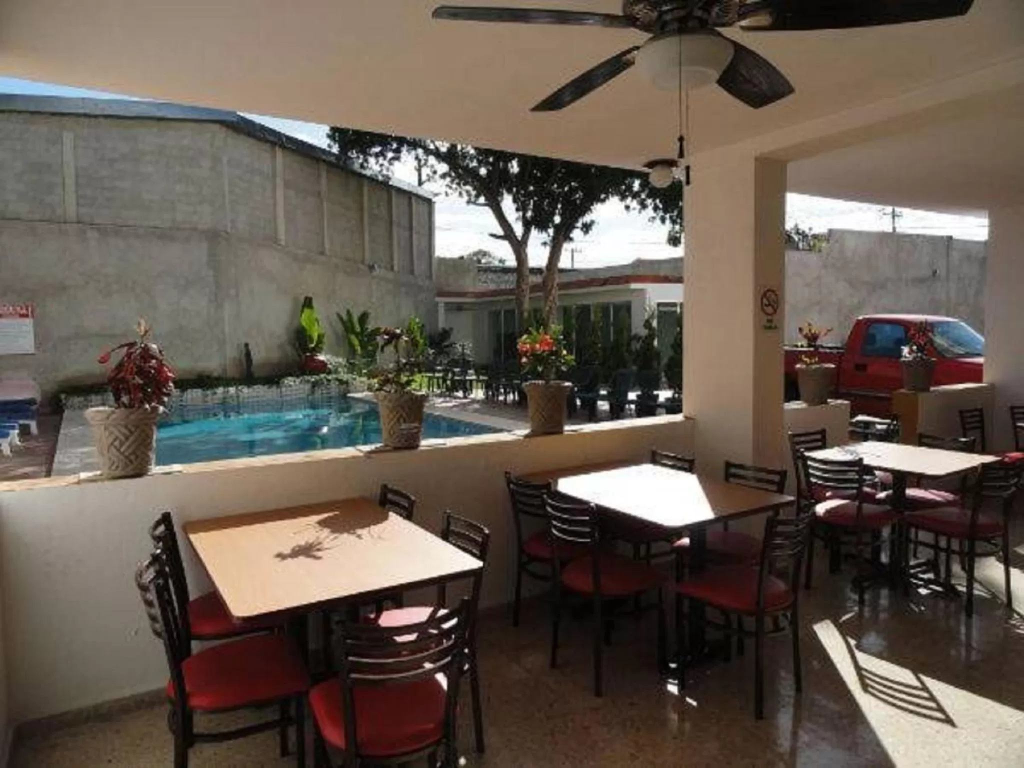 Area and facilities in Hotel Las Dalias Inn