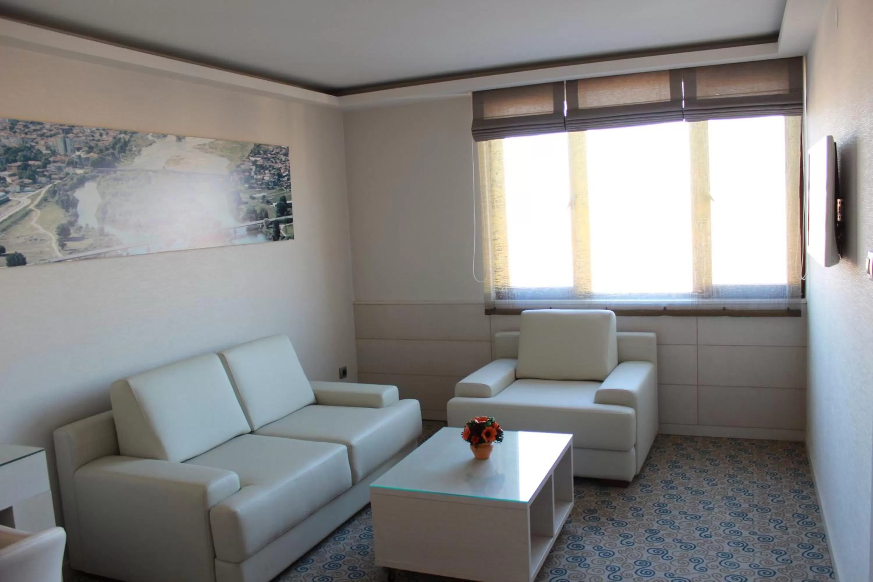 Day in Hotel Svilena