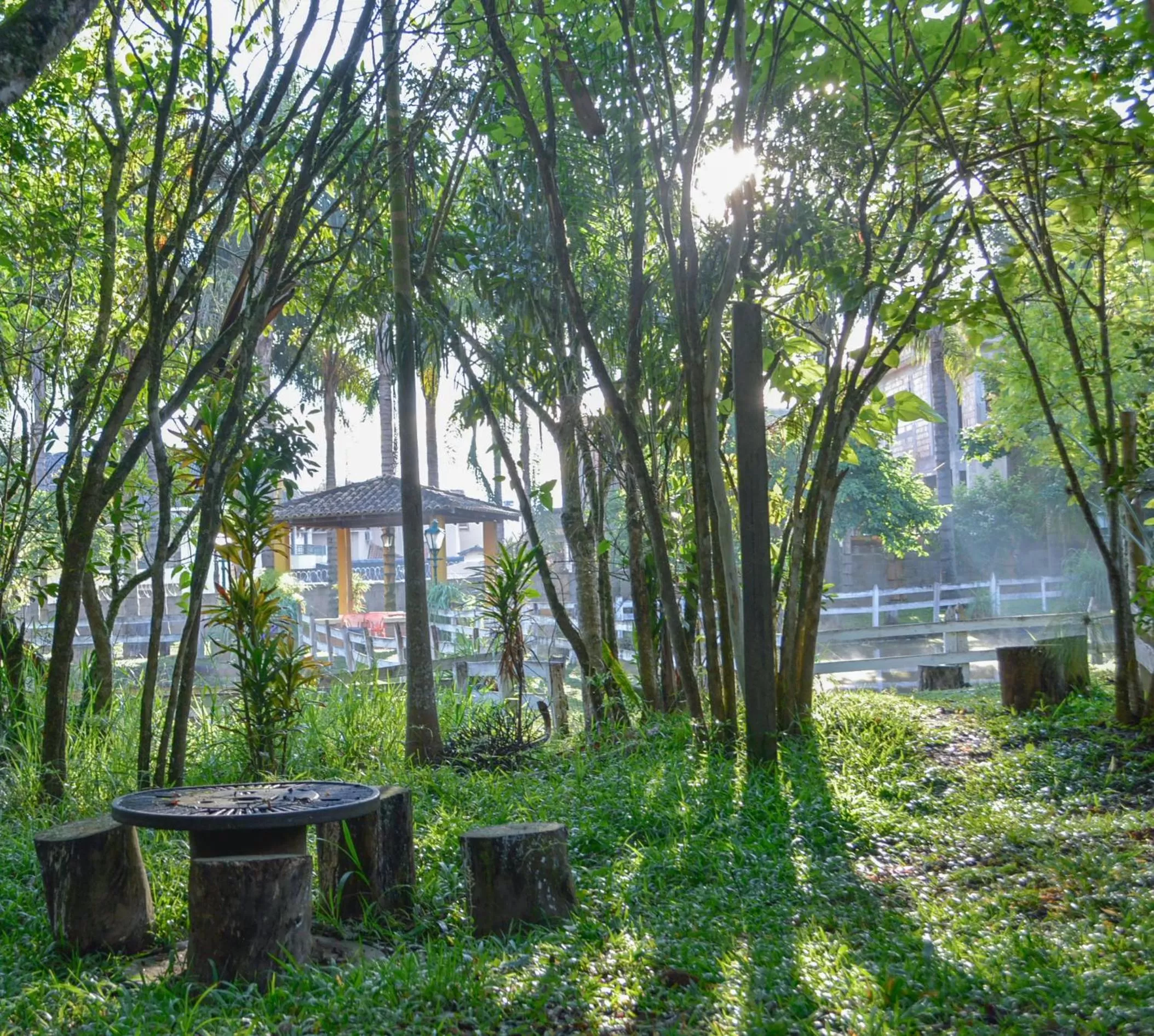 Garden view in Vila Chico