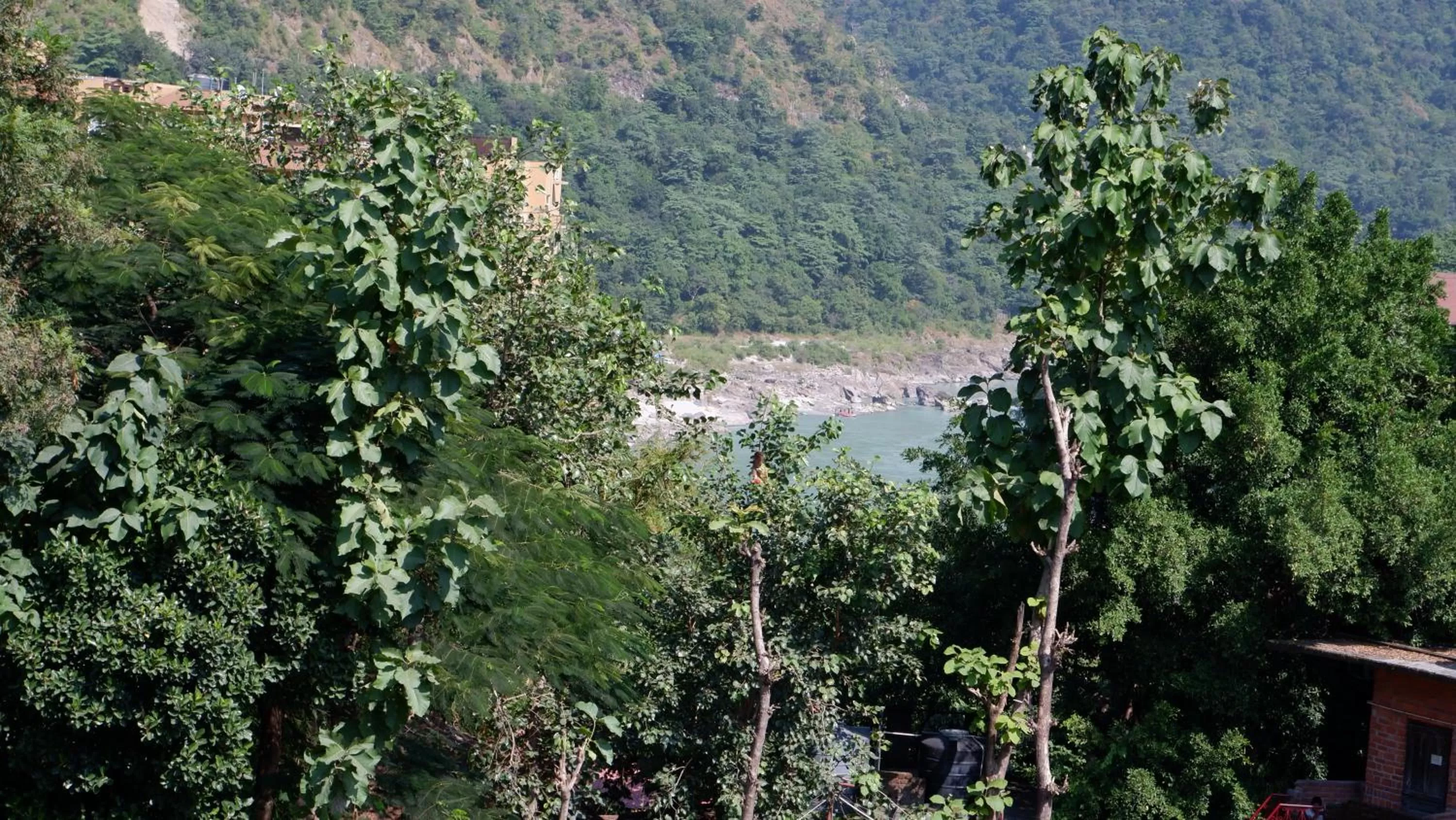 View (from property/room) in Punyah Residency Rishikesh