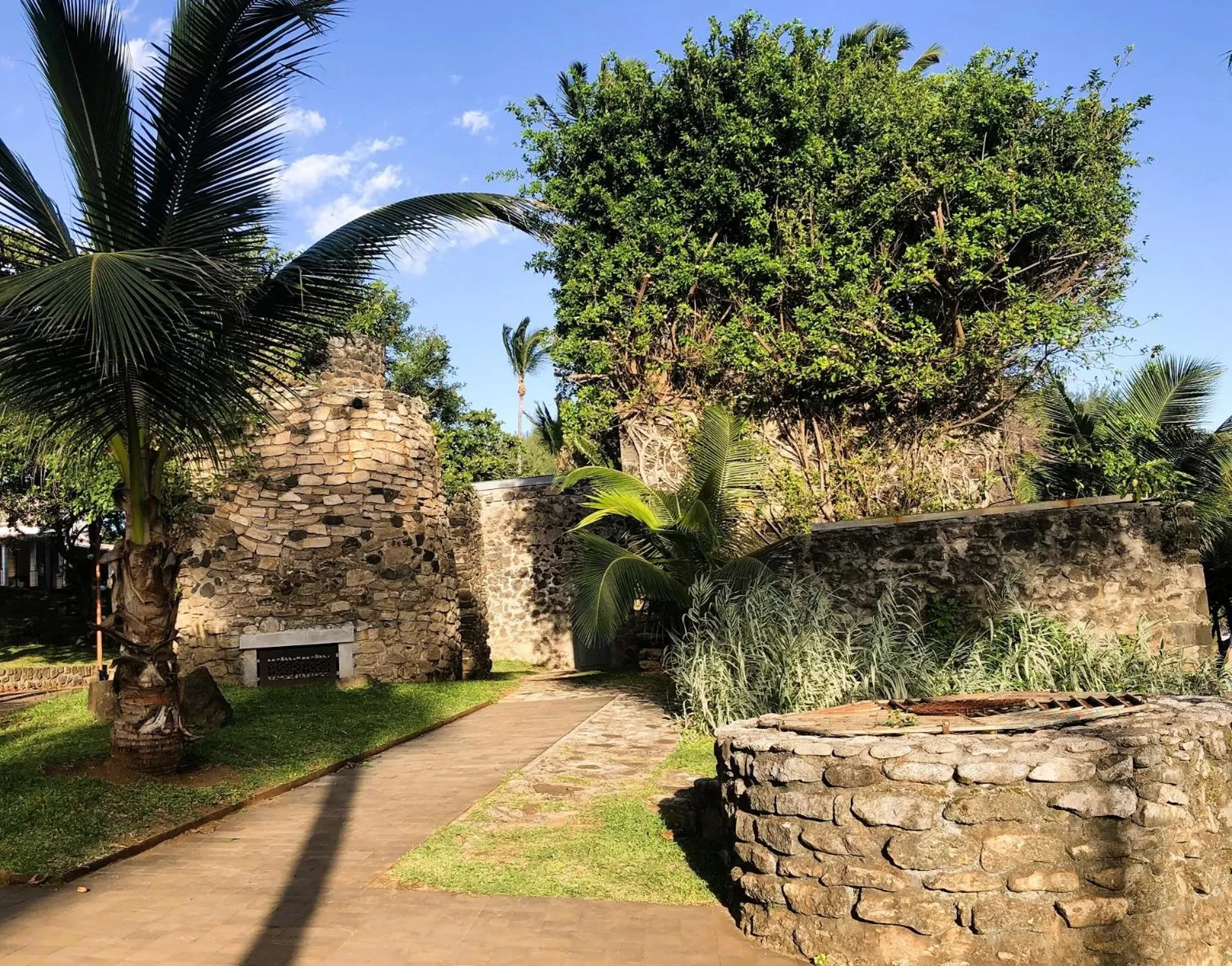 Garden in Hôtel Le Soleil Couchant