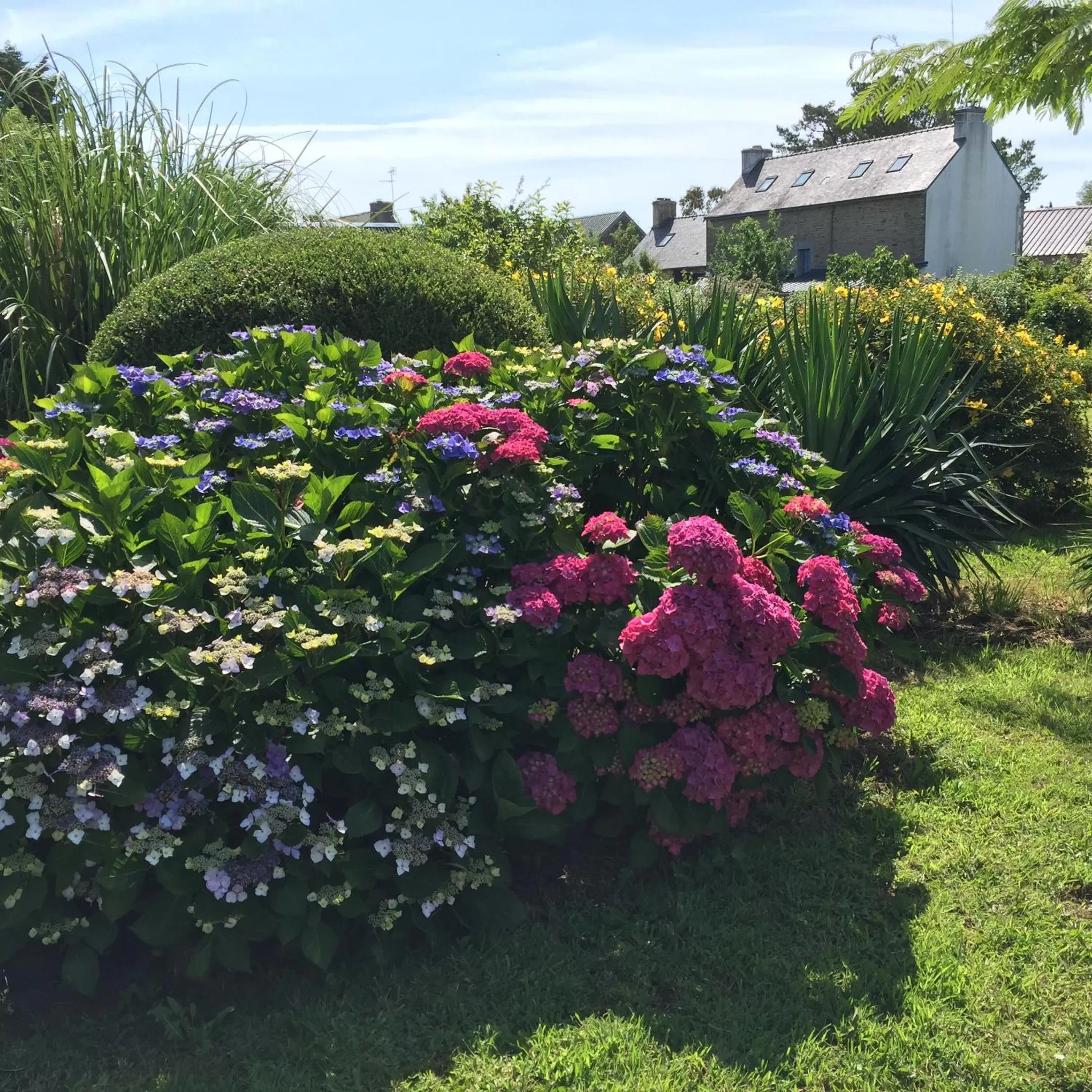 Garden view in Les 3 Koïs