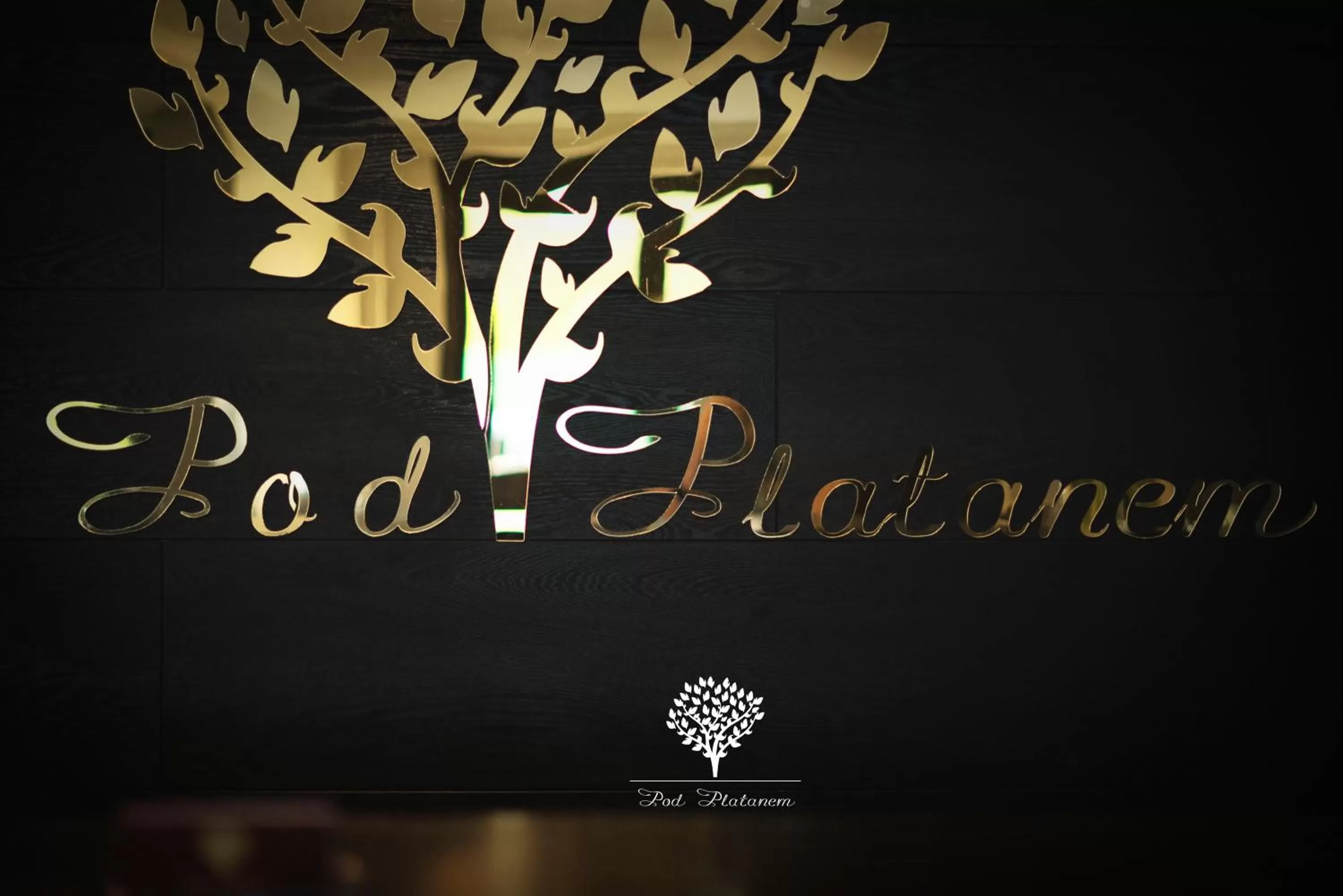 Property Logo/Sign in Pod Platanem Gliwice