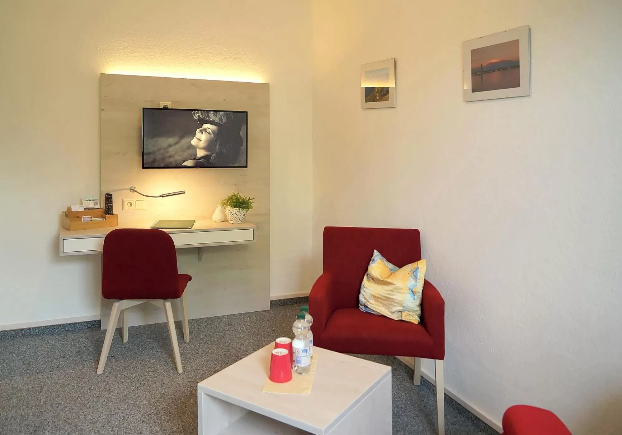 TV and multimedia in Erzgebirgshotel Misnia Bärenfels