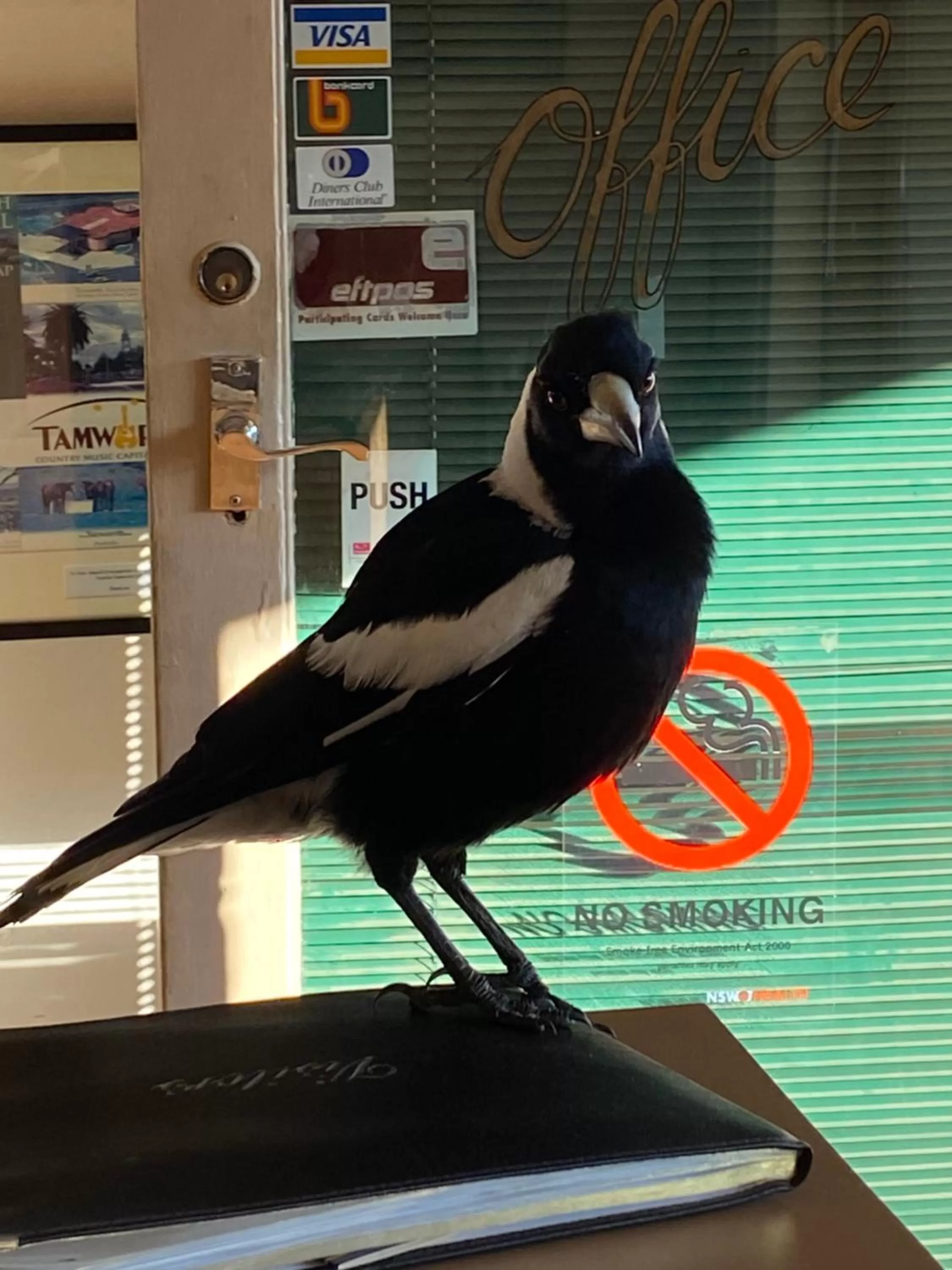 Property building in Ben Hall Motor Inn