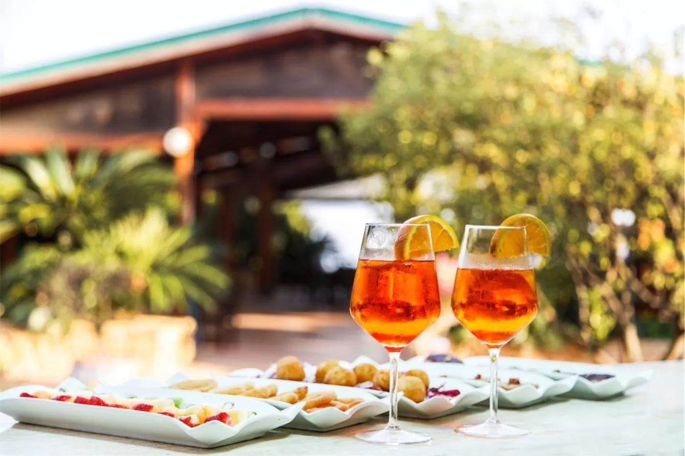 Garden in Colleverde Park Hotel