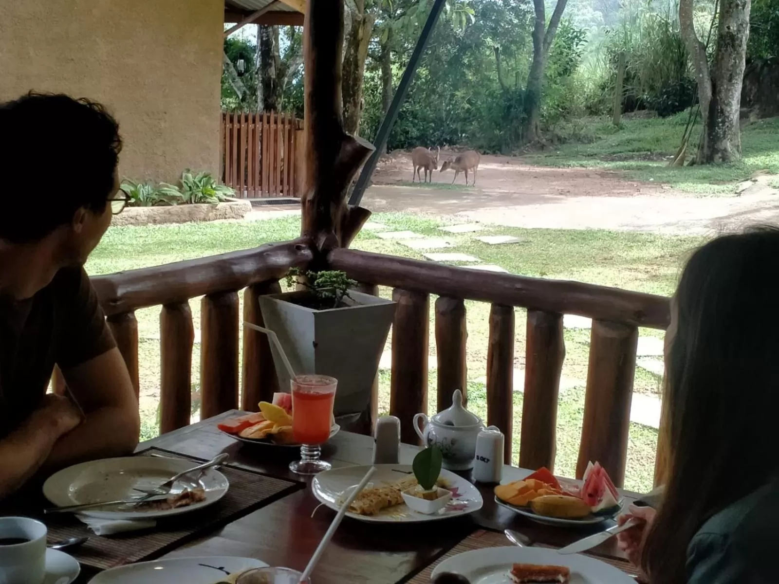 Restaurant/places to eat in Saffron Eco Cottage