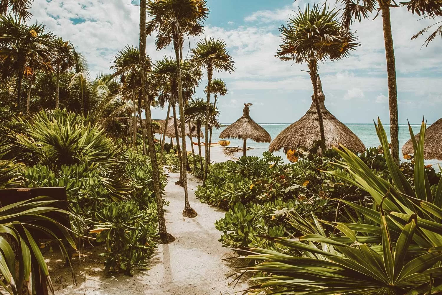 Beach in Jashita Hotel