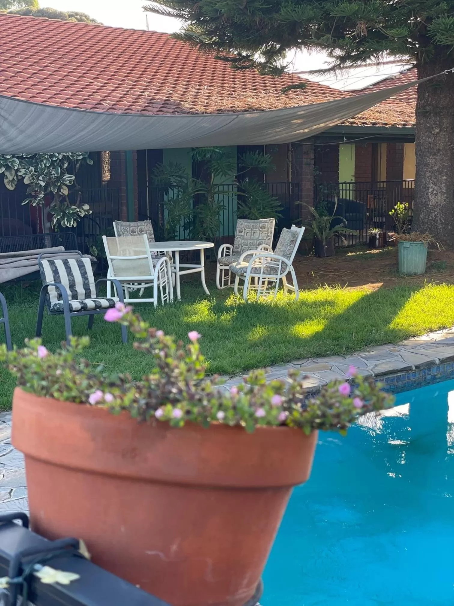 Swimming pool in Pavlos Motel