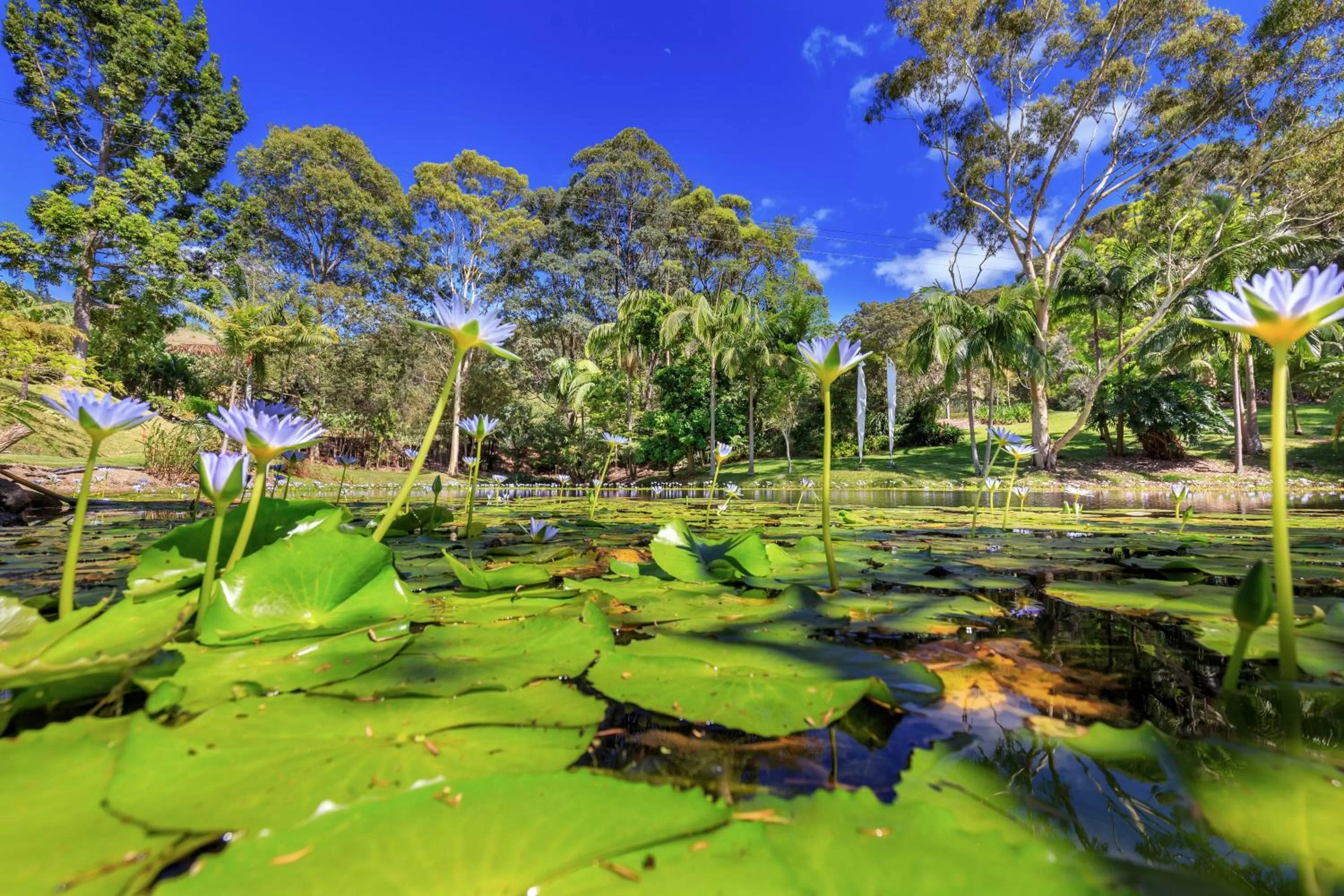 Lake view in Sensom Luxury Boutique Bed and Breakfast