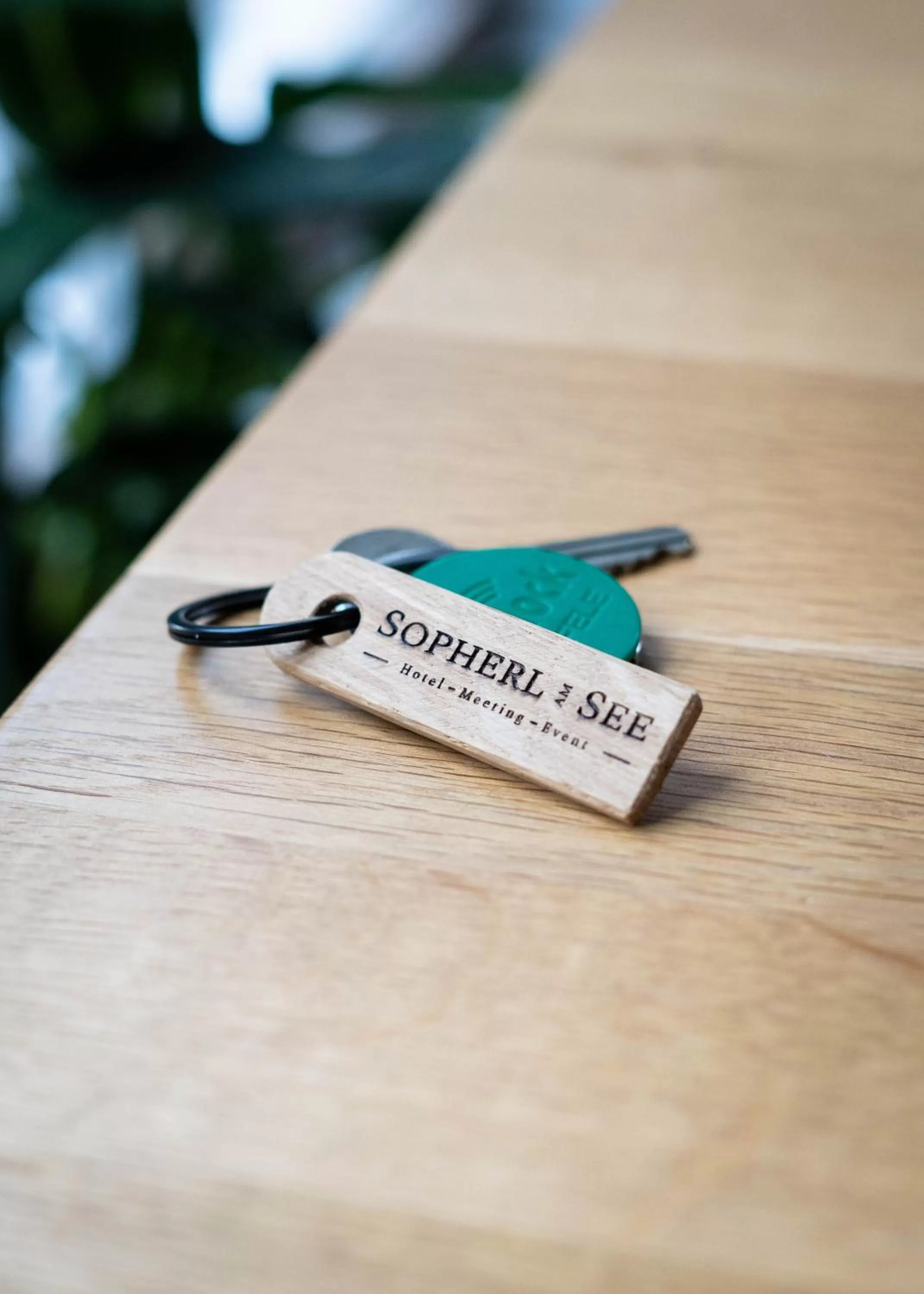 Logo/Certificate/Sign in Sopherl am See