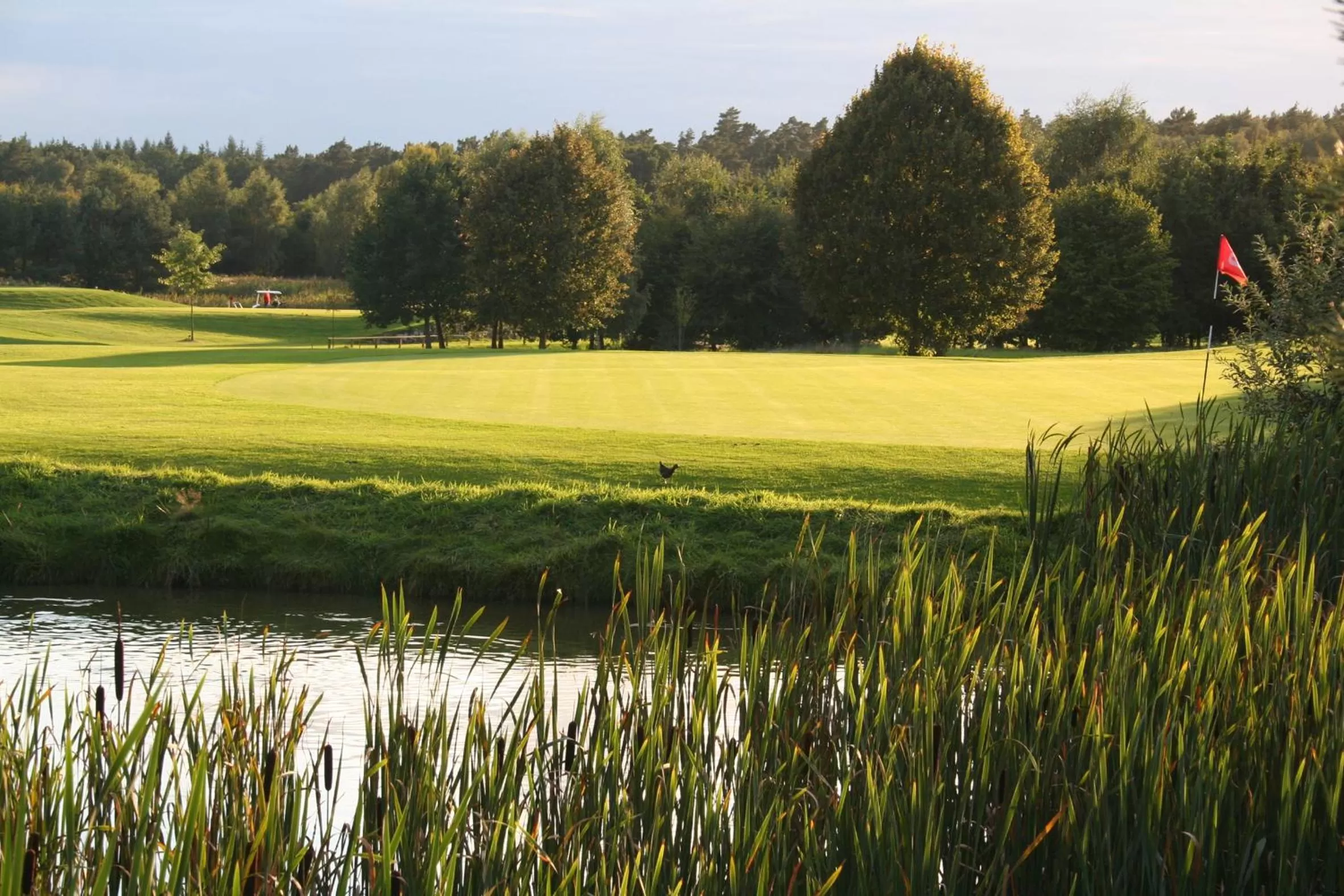 Golfcourse in Akzent Hotel Berlin