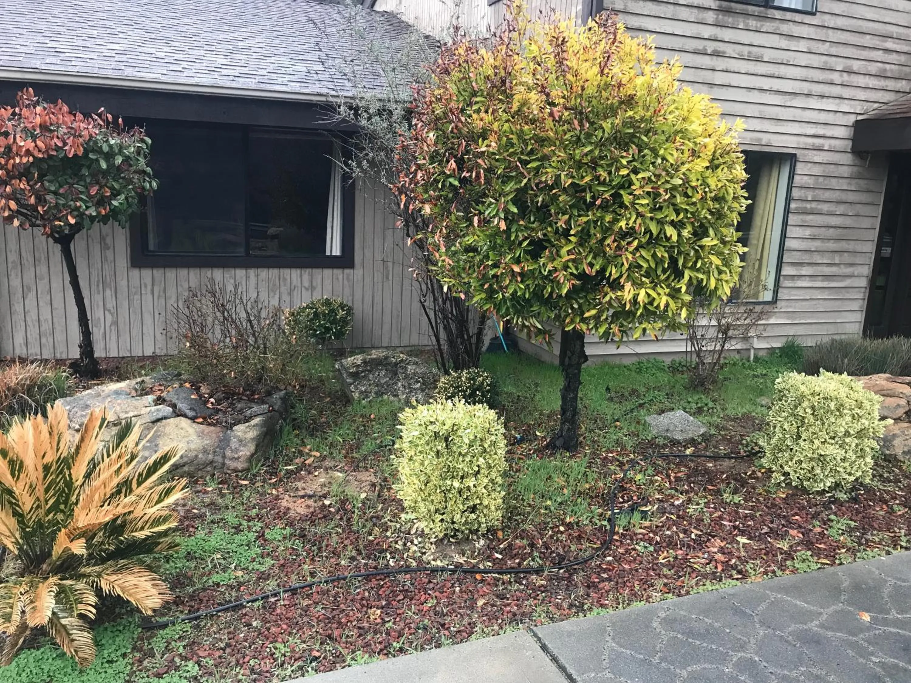 Mountain Trail Lodge and Vacation Rentals