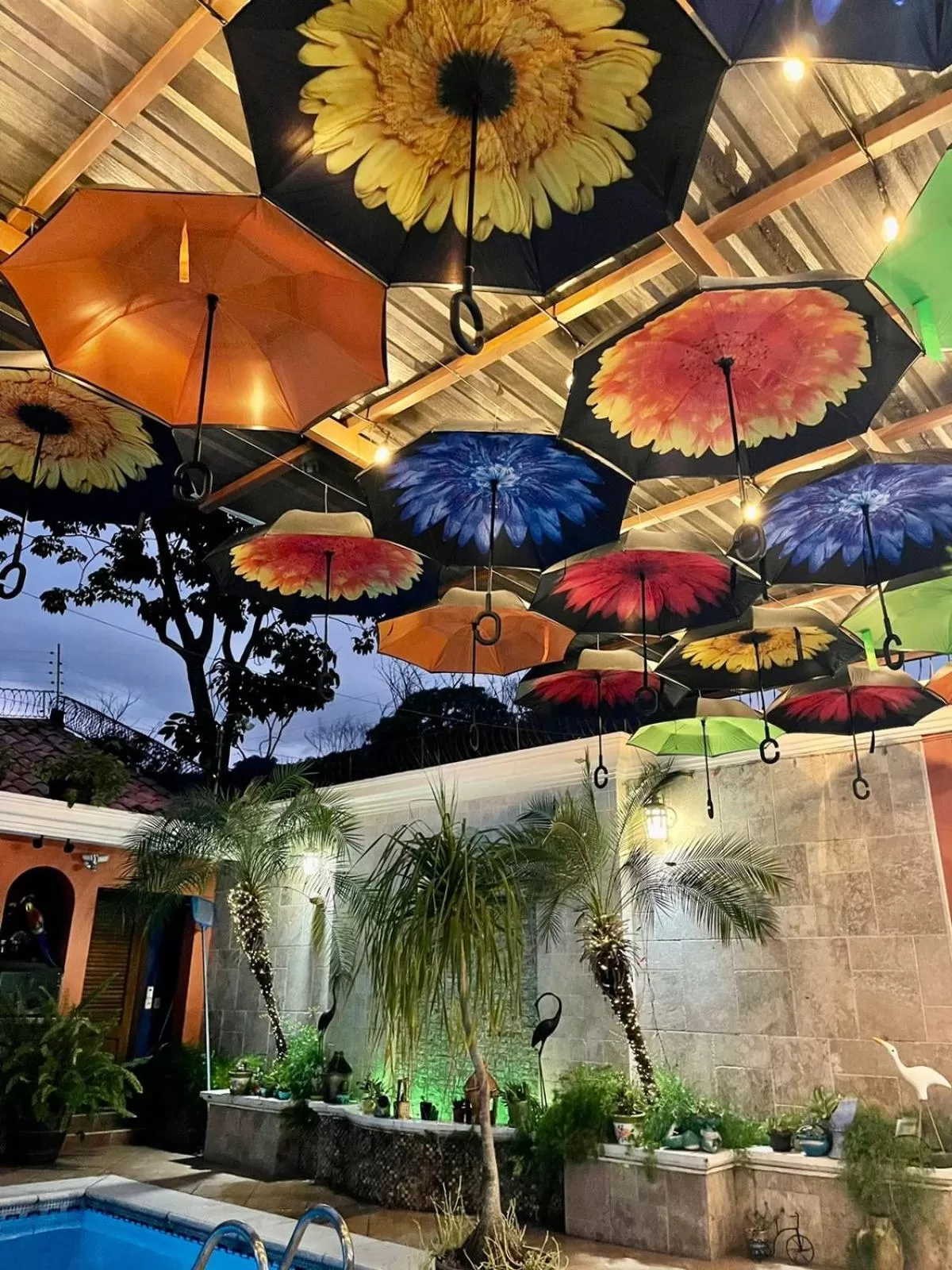 Refugio de la Montaña B&B