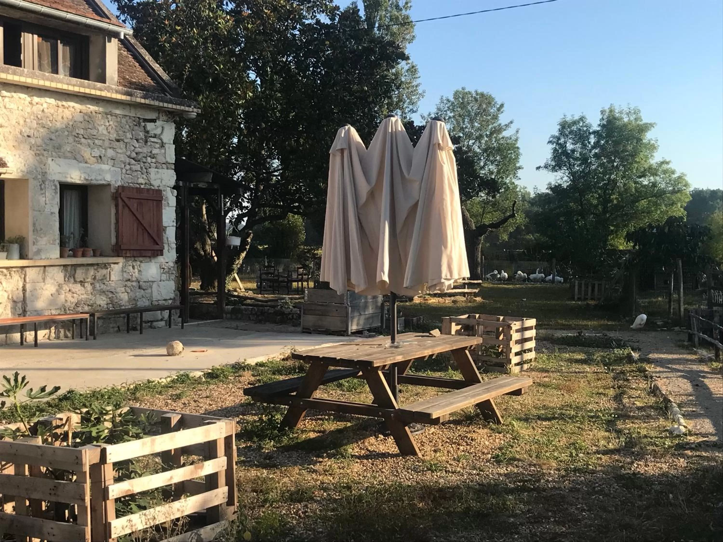 Garden in Chez Gustave & Compagnie