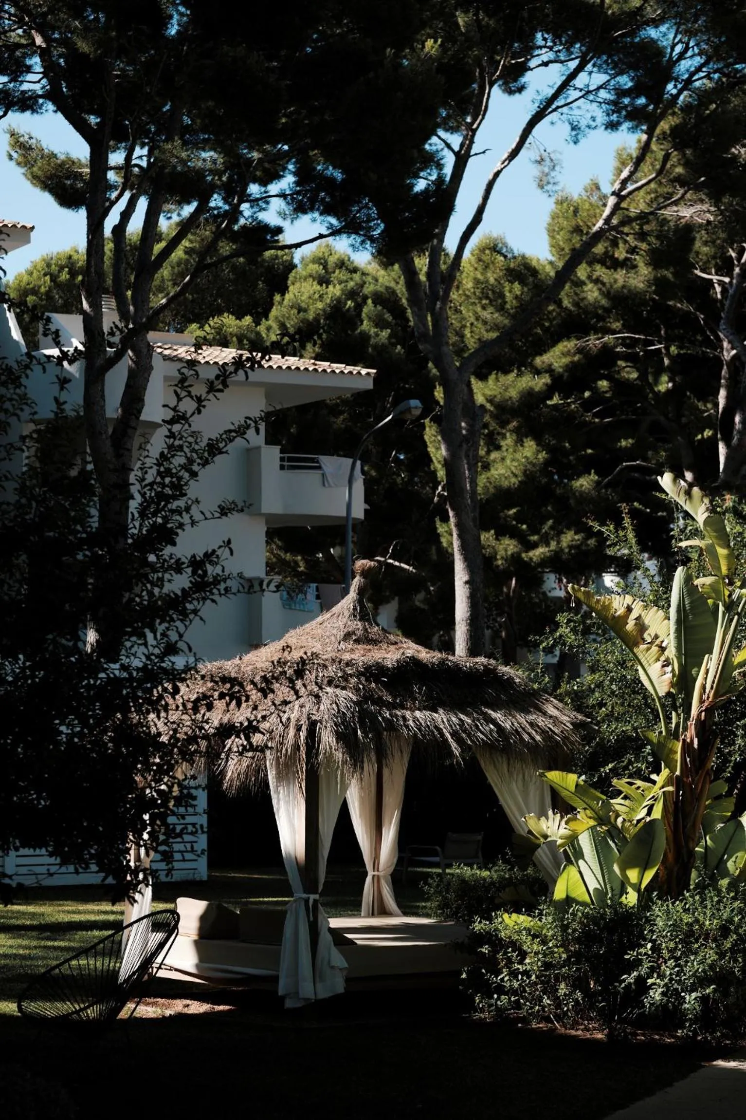 Garden in Prinsotel La Pineda