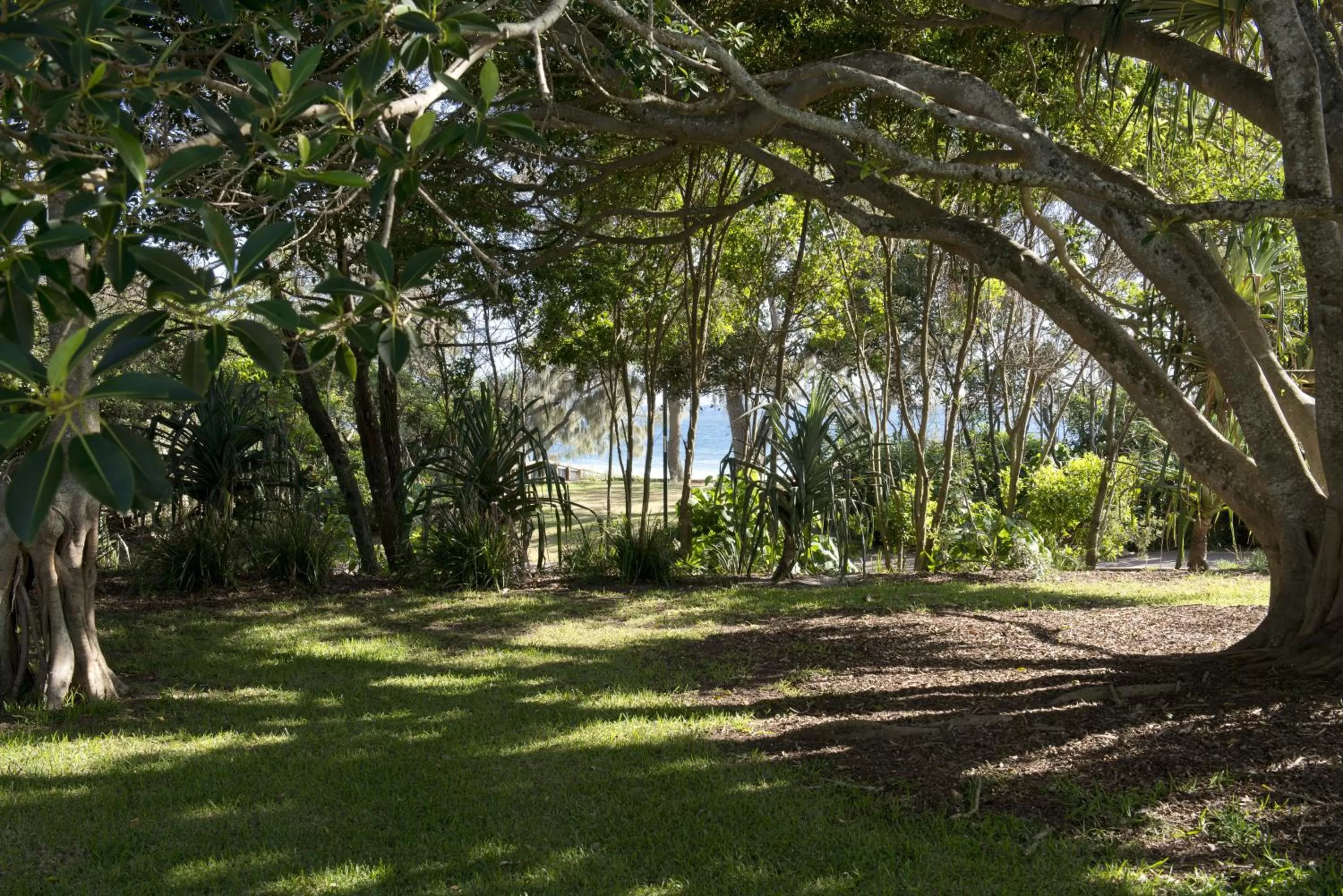 Day in SandCastles Noosa