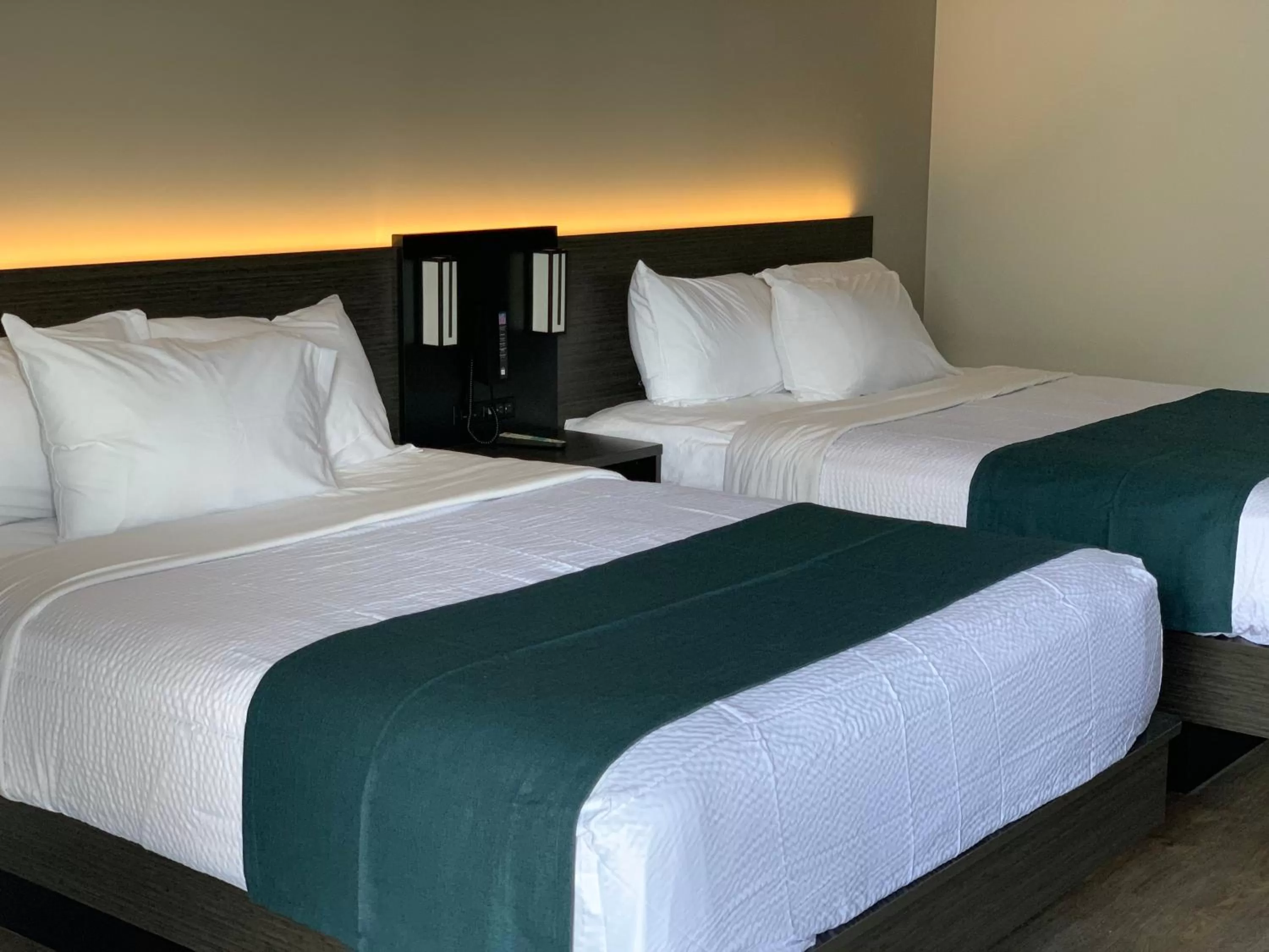 Bedroom, Bed in Motel 6 Louisville, Ky- Airport/ Fair Expo