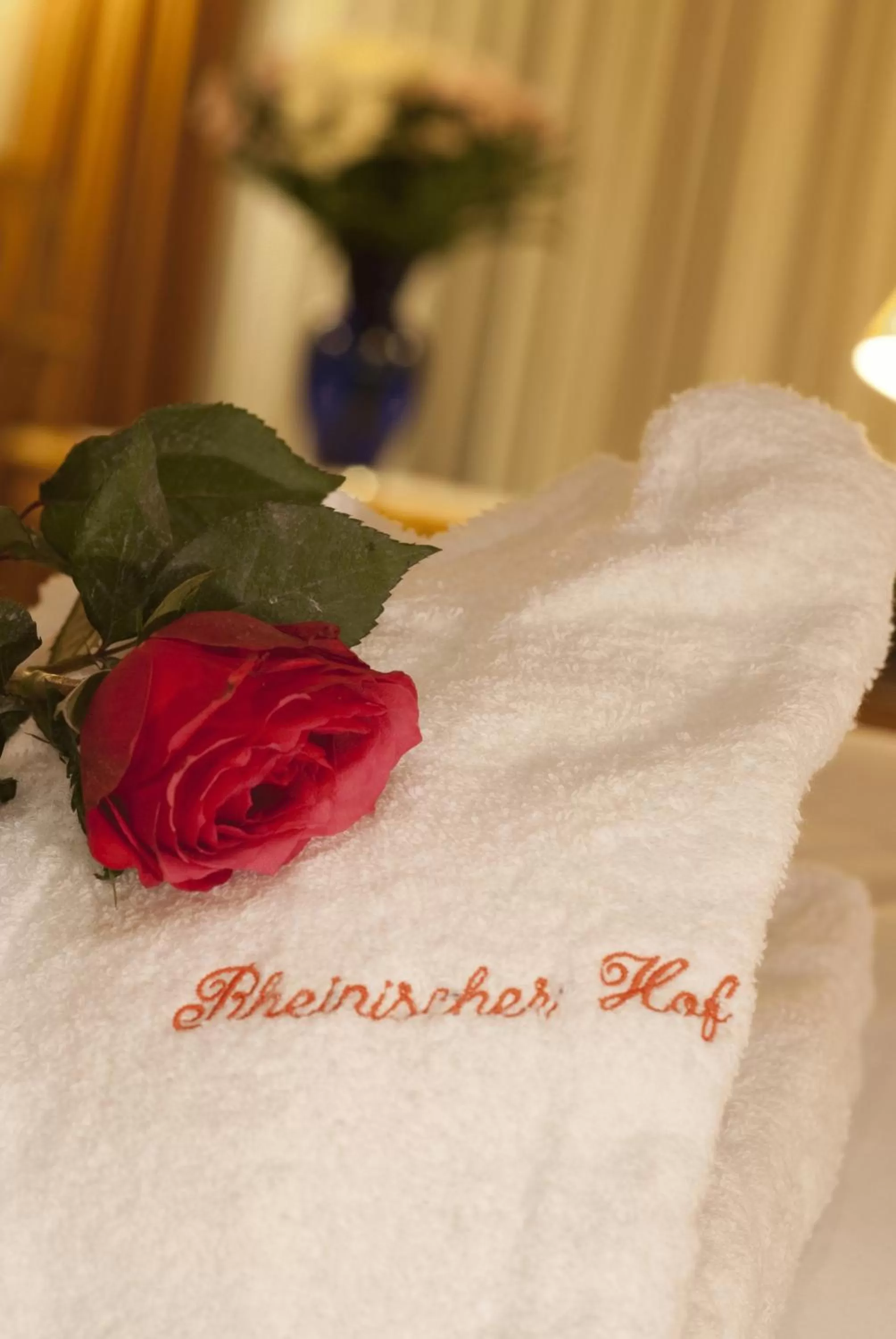 Other in Hotel Rheinischer Hof