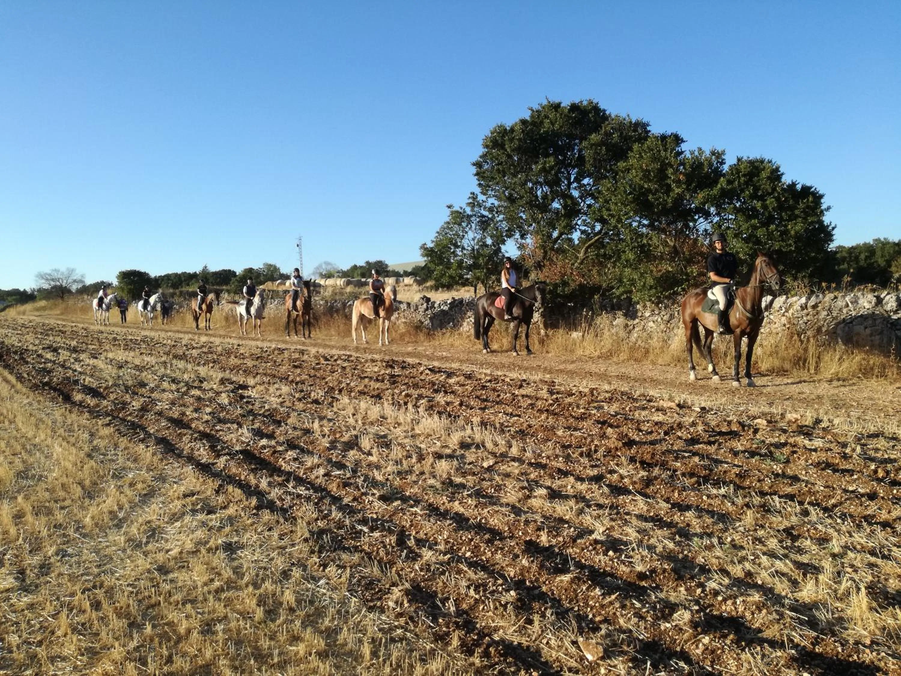Natural landscape in Agriturismo Fasano