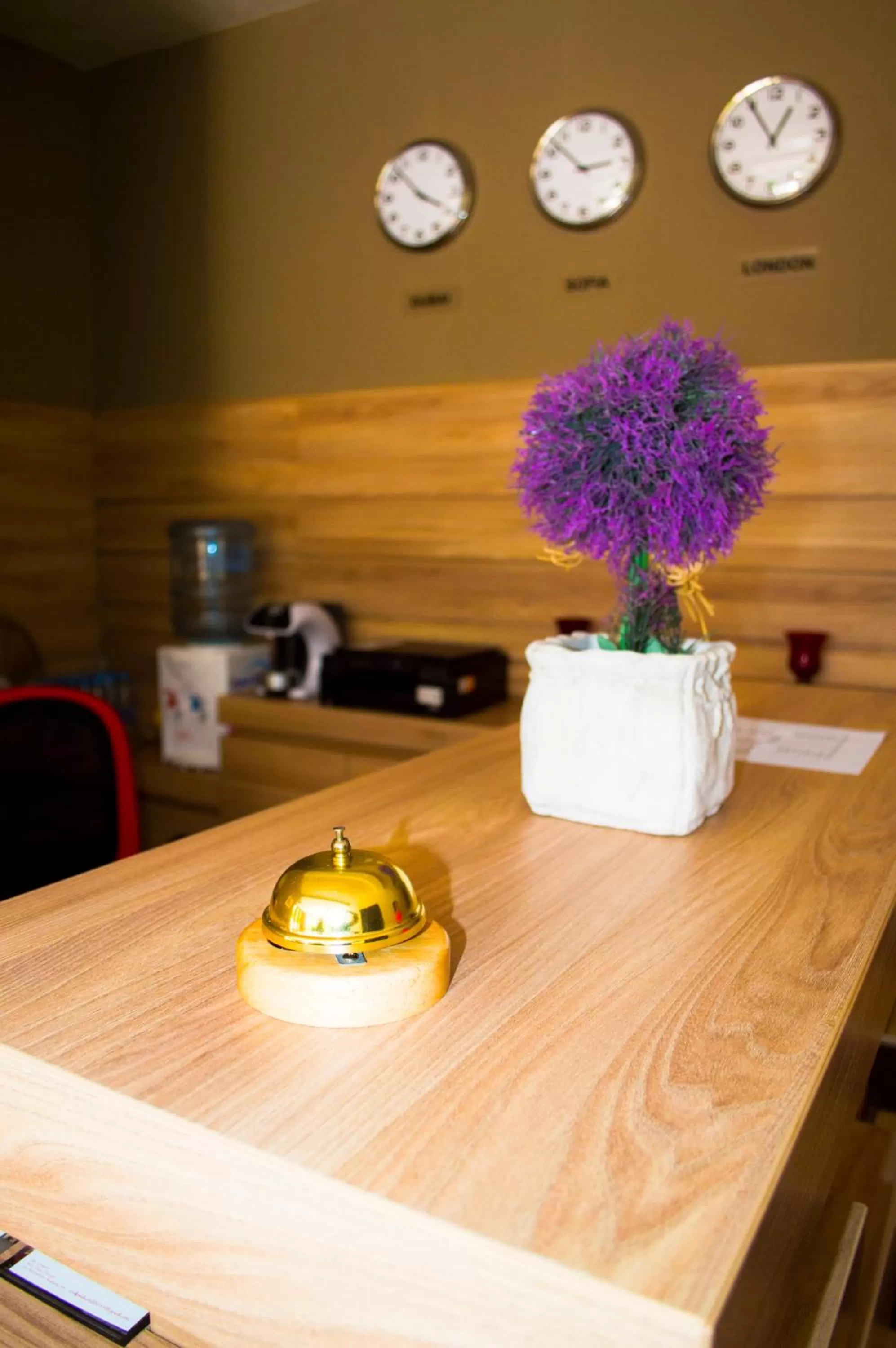 Lobby or reception in Hotel Calipso Hotel