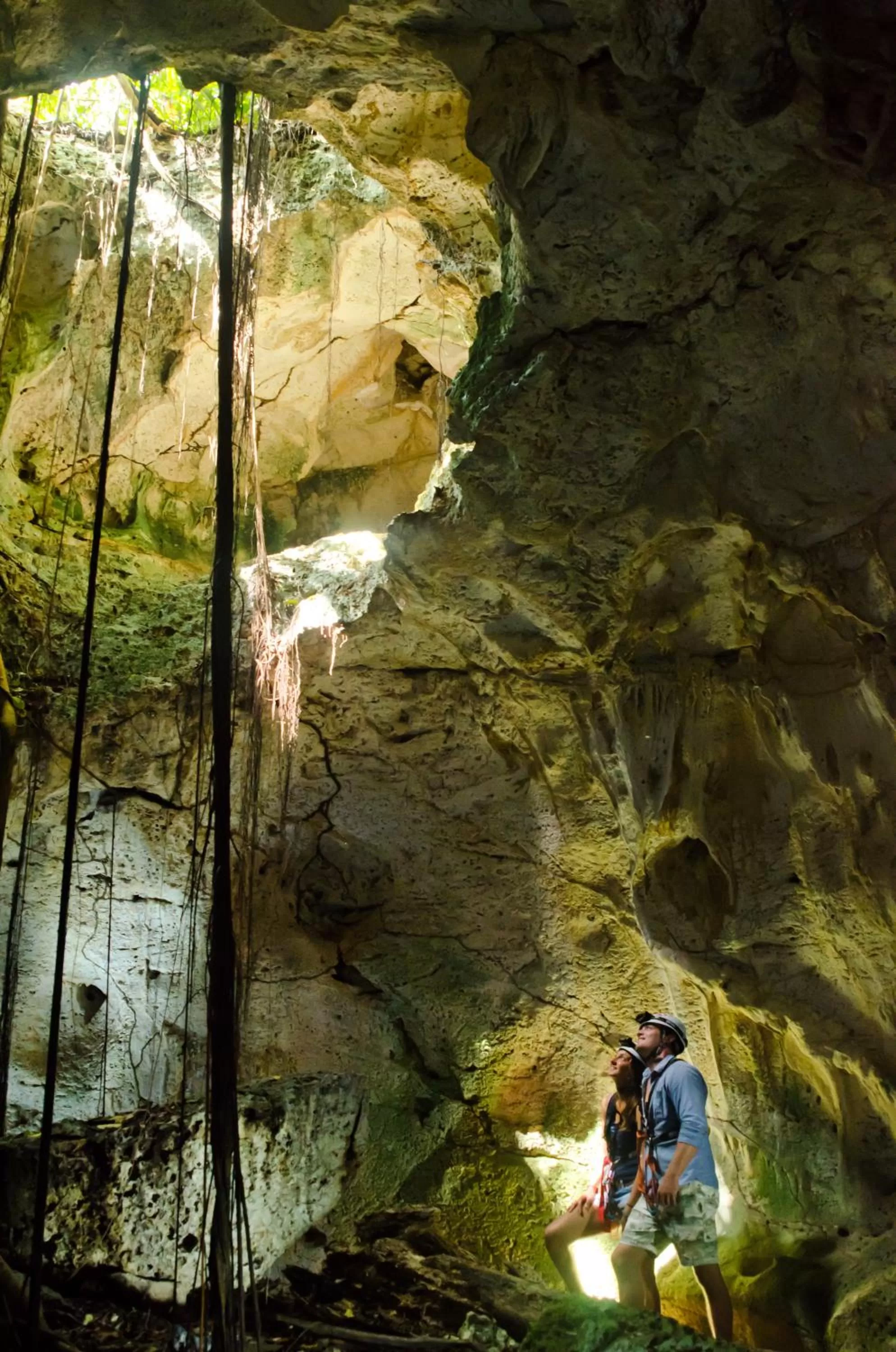 Entertainment in TRS Cap Cana Waterfront & Marina Hotel - Adults Only - All Inclusive