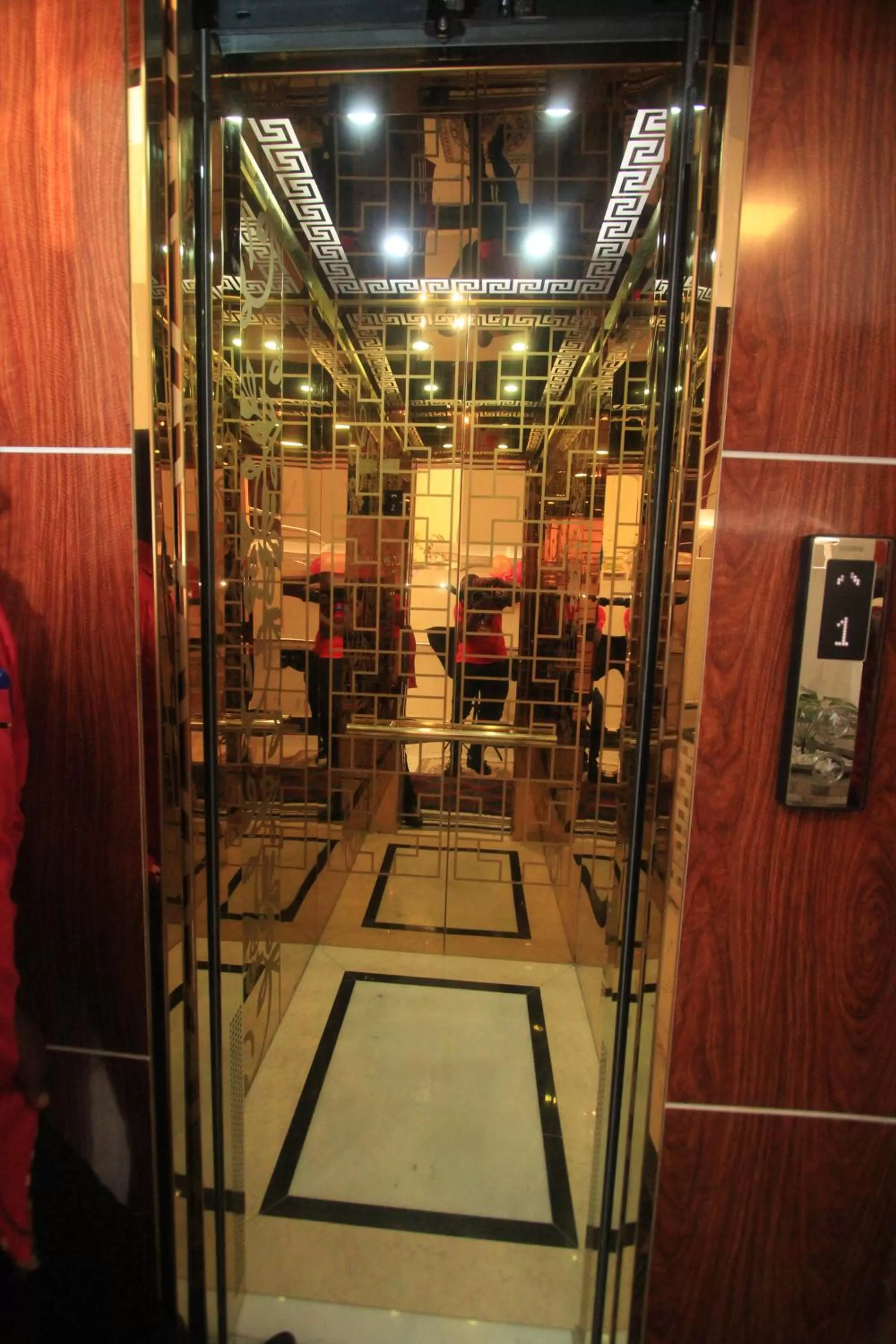 Facility for disabled guests in Vickmark Hotel