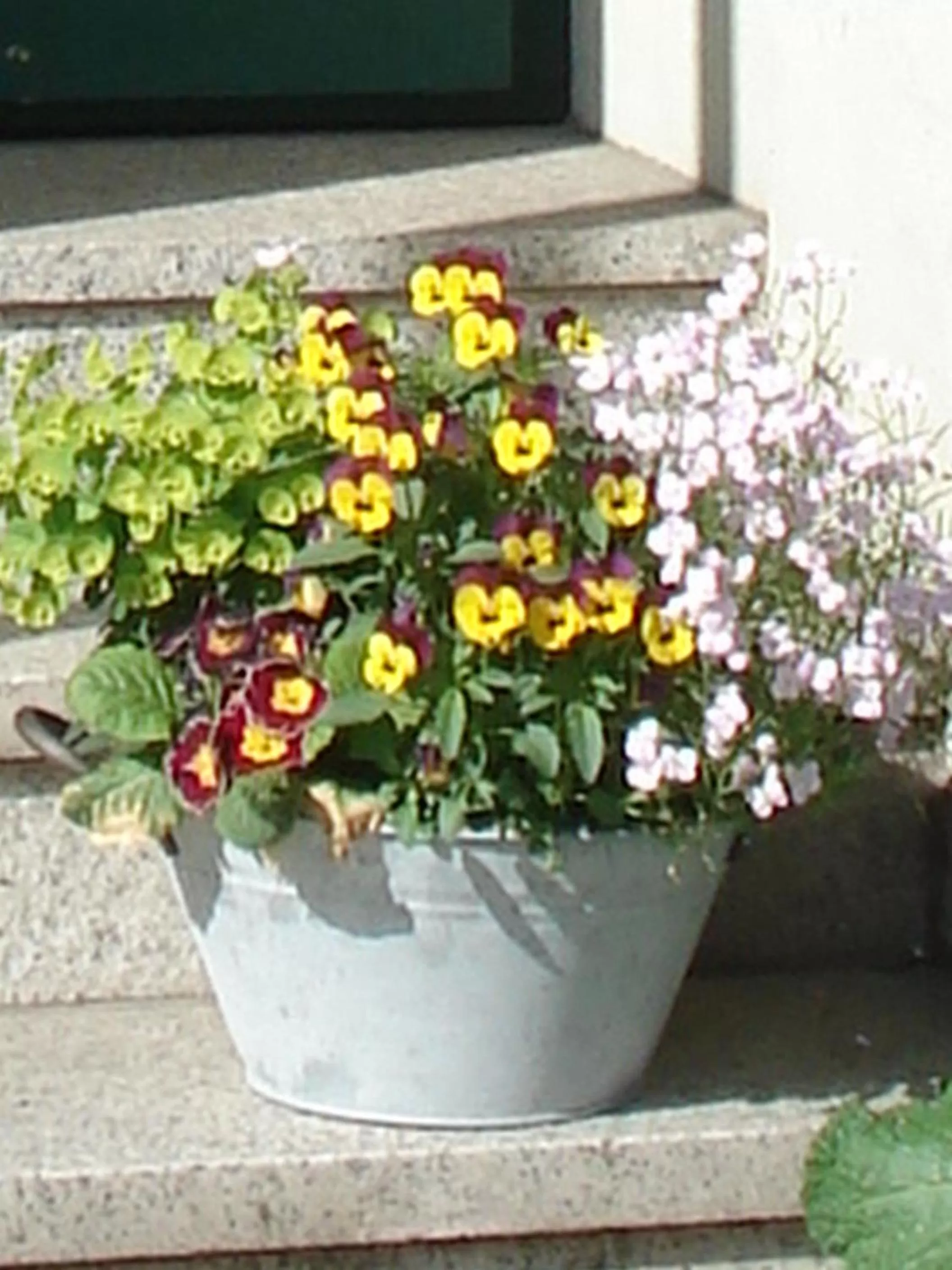 Facade/entrance in Hotel Pension Zur Fährbrücke