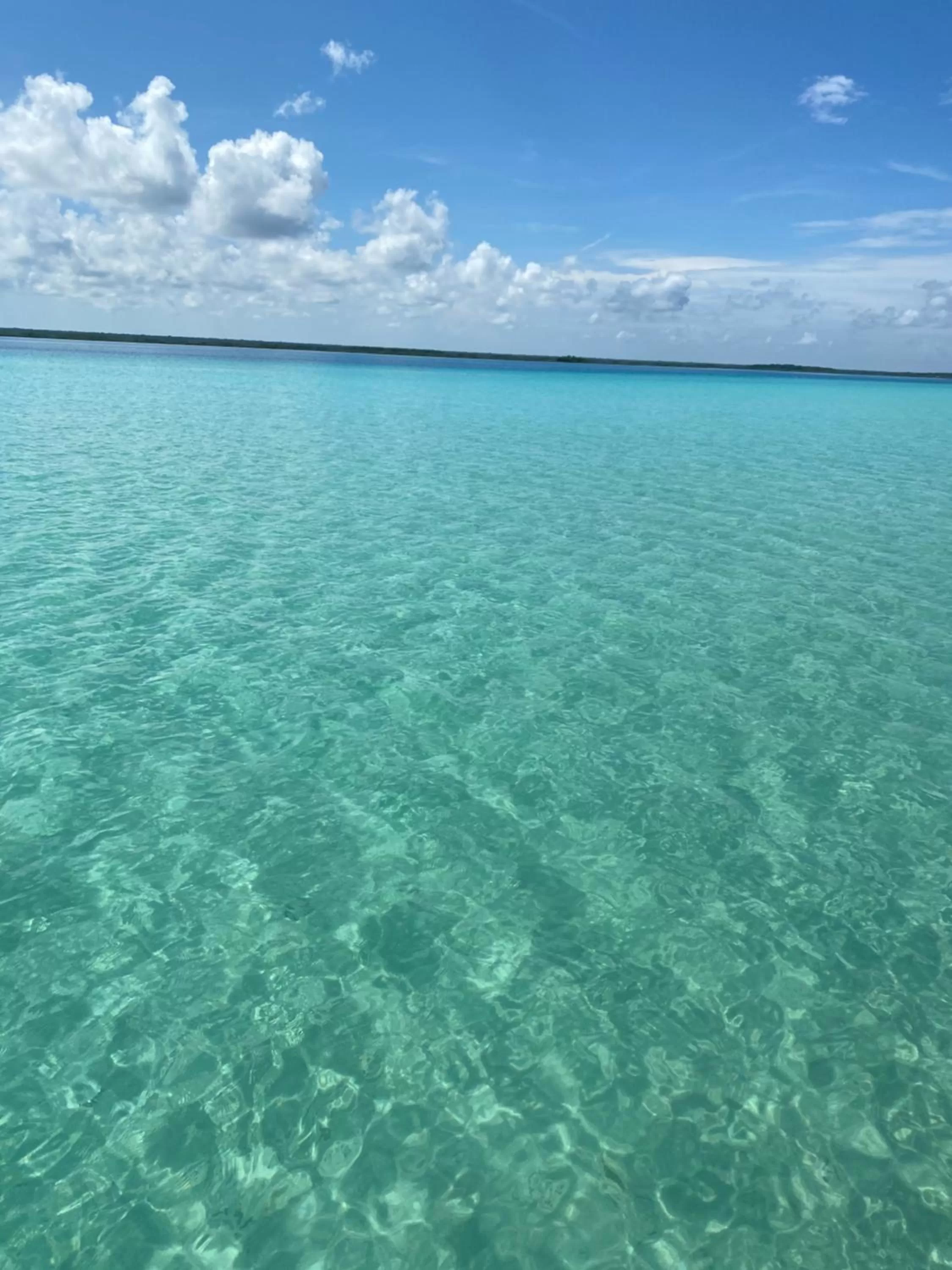 Day in Maison Bacalar