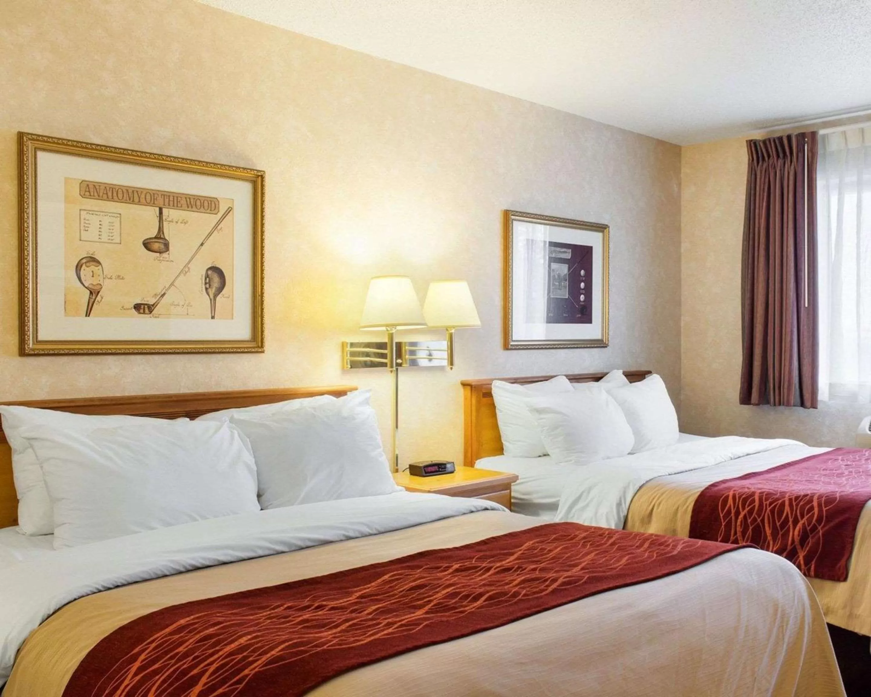 Photo of the whole room, Bed in Quality Inn