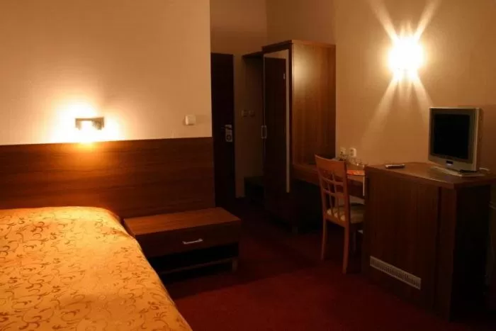 Single Room in Hotel Jelen