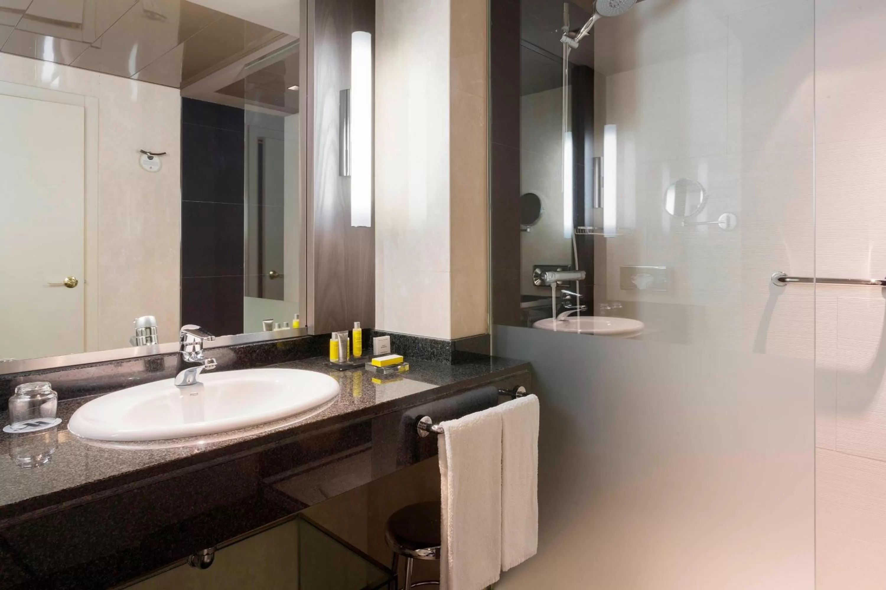 Bathroom in Madrid Marriott Auditorium Hotel & Conference Center