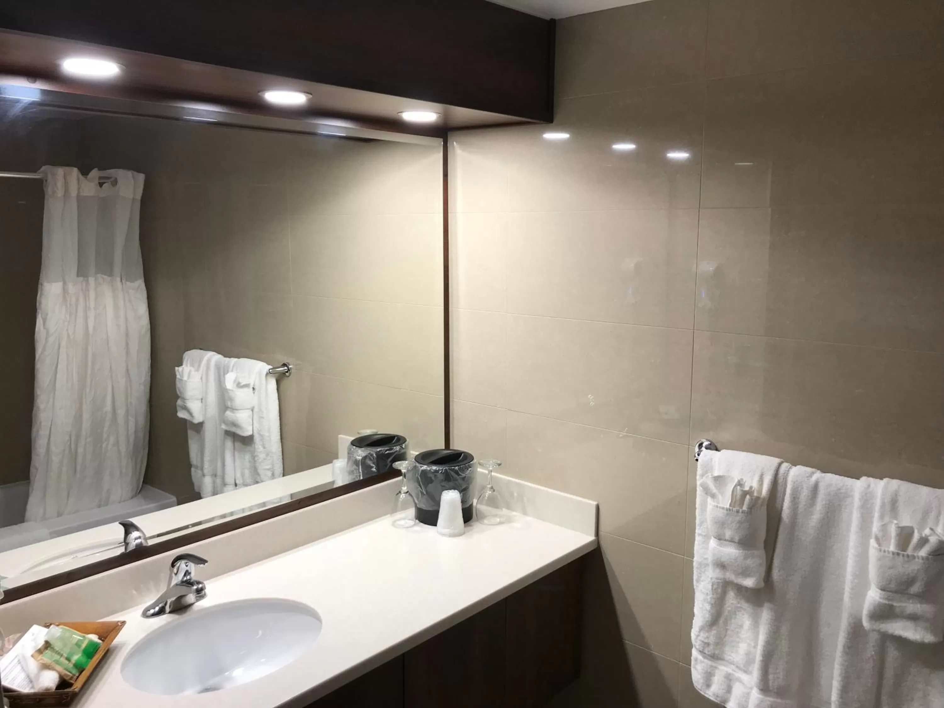 Bathroom in Motel Adam