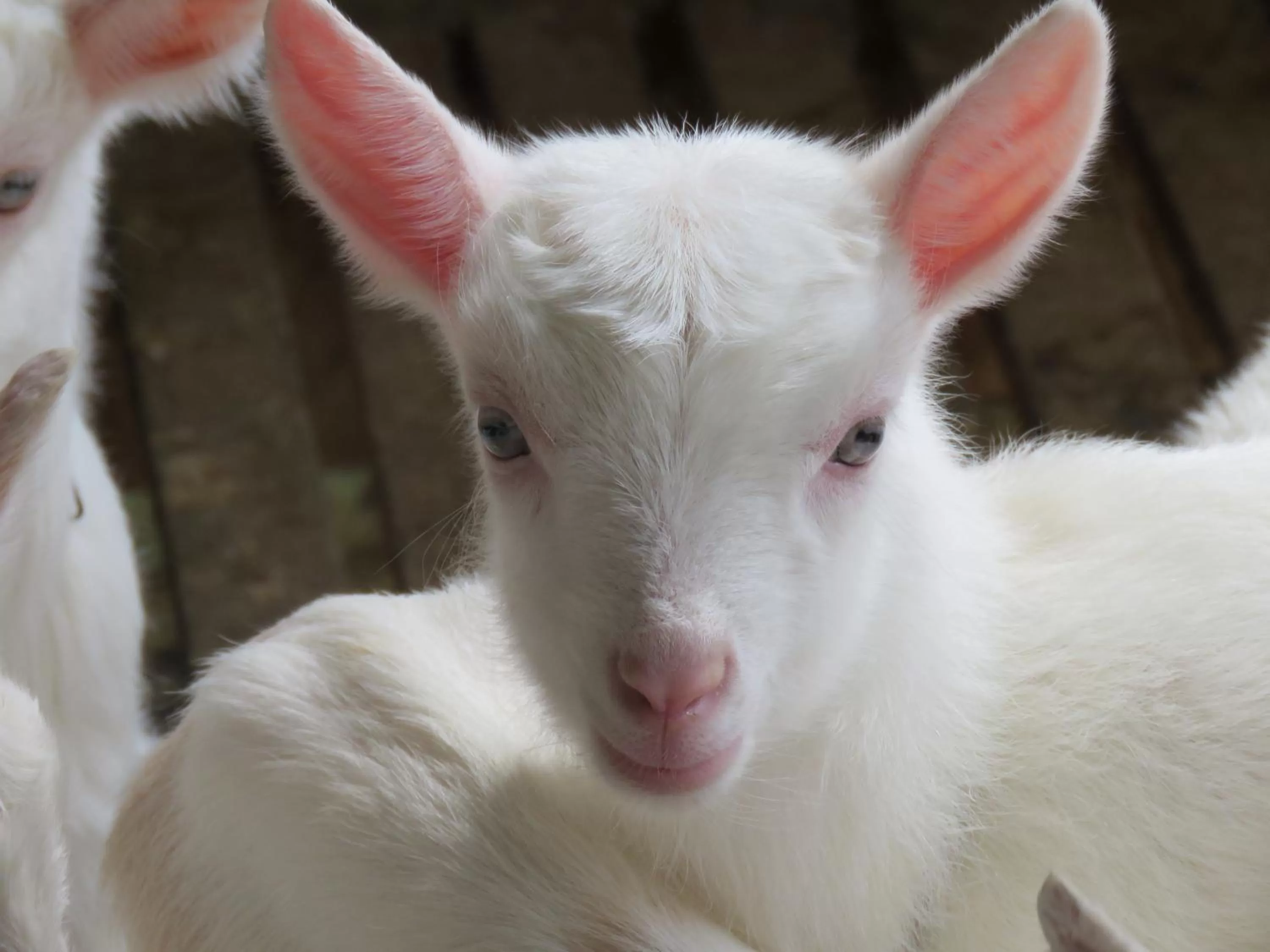 Property building in Lagoa Seca Hotel Rural