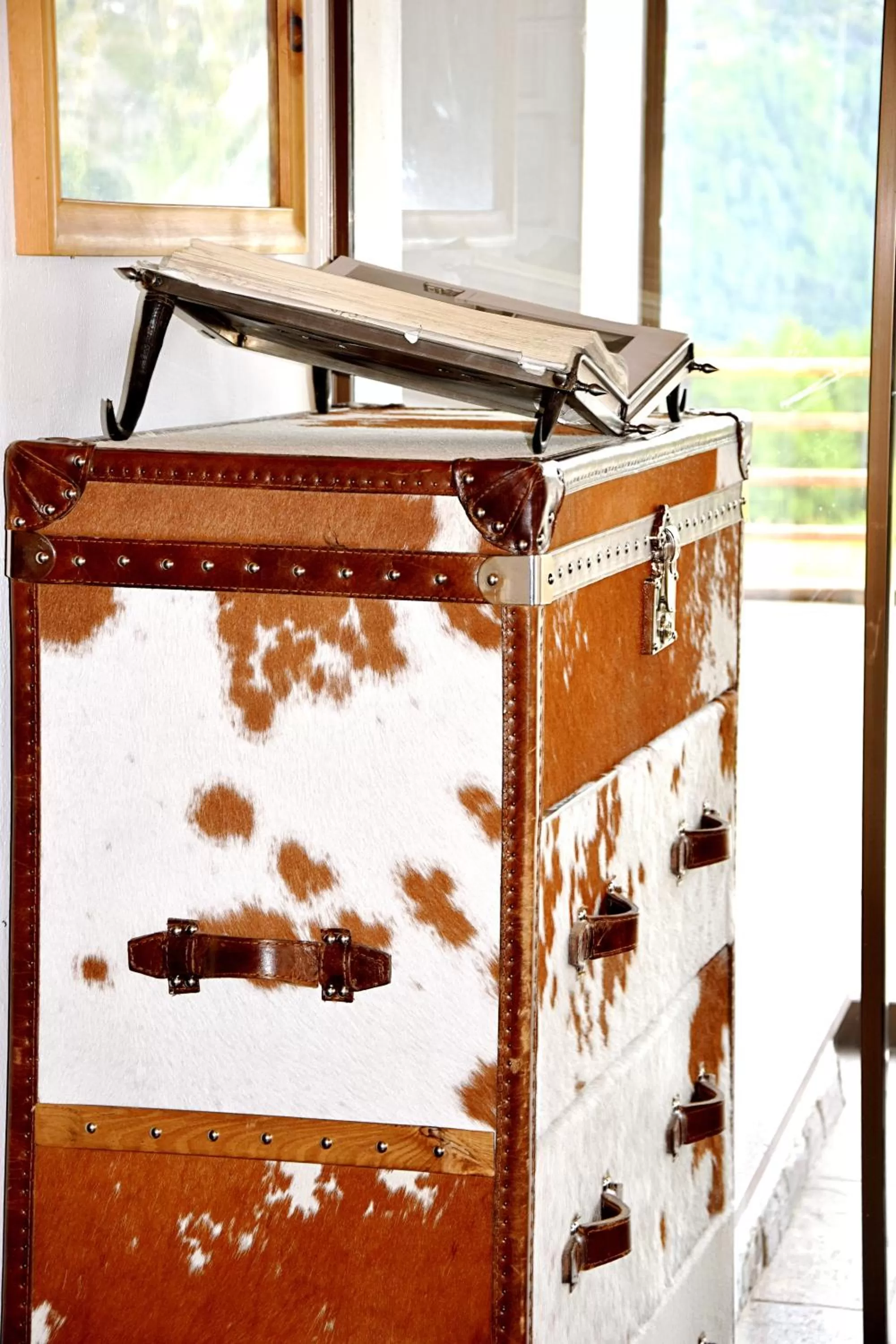 Decorative detail in Hotel Salastrains