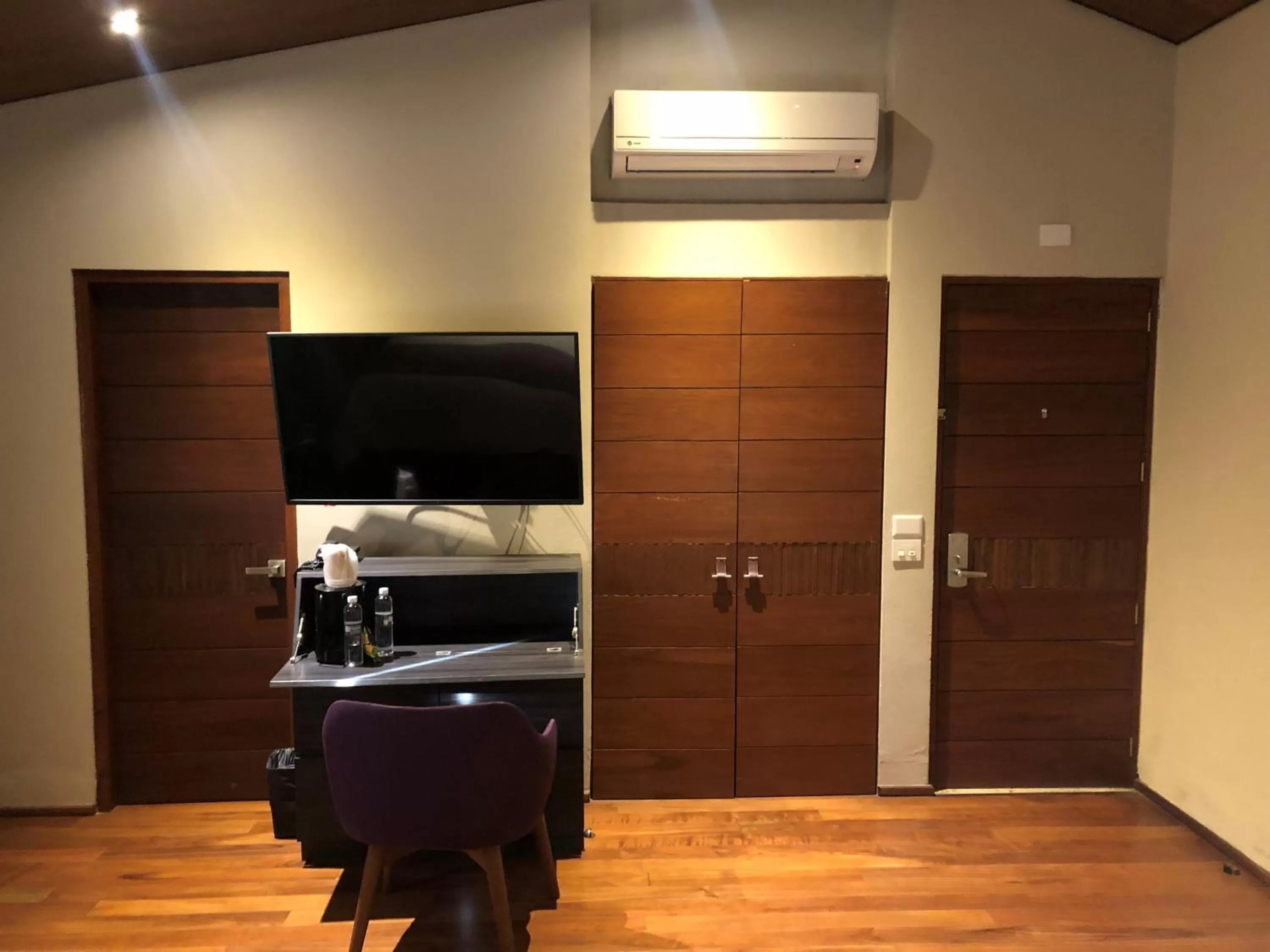 TV and multimedia in Gamma Monterrey Rincon de Santiago