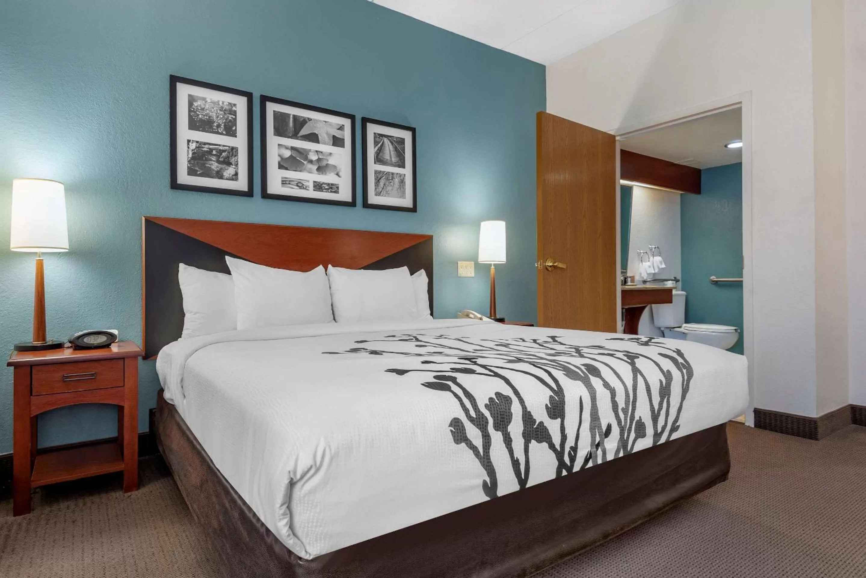 Photo of the whole room, Bed in Sleep Inn Amherst - Buffalo North near University