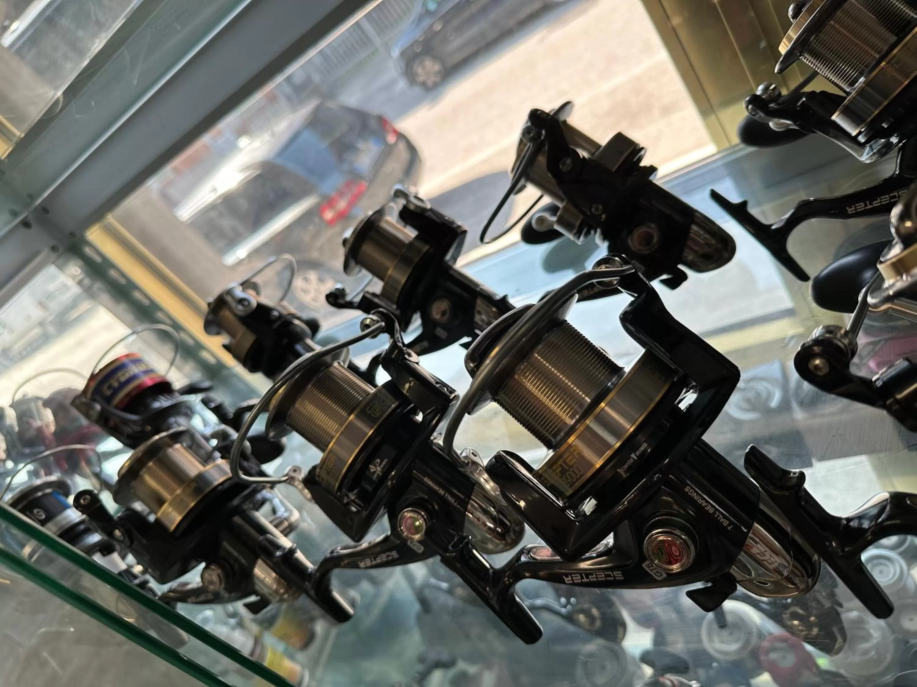 Fishing in D ANNUNZIO house