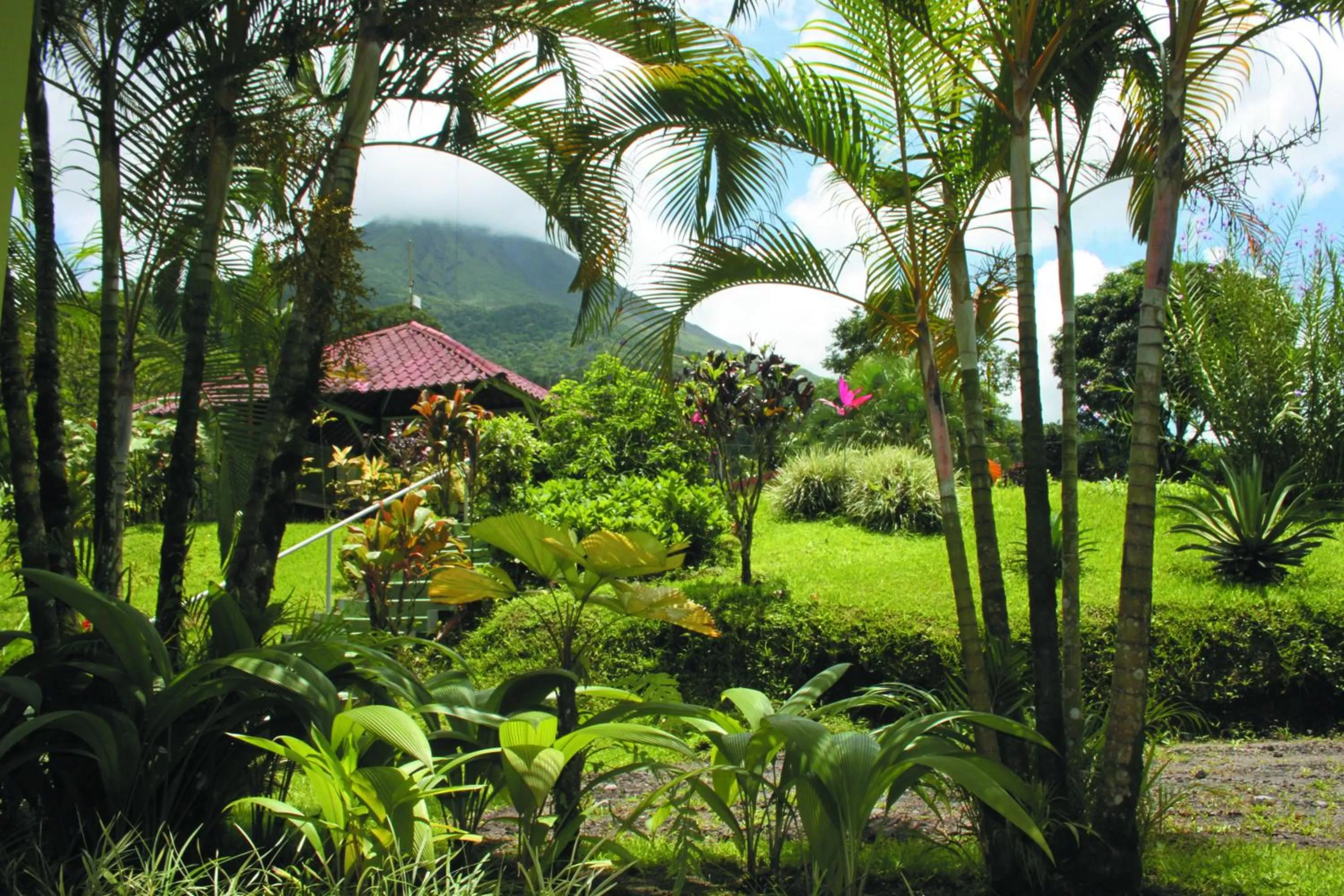 Mountain view in Loma Real Hot Springs Bed & Breakfast