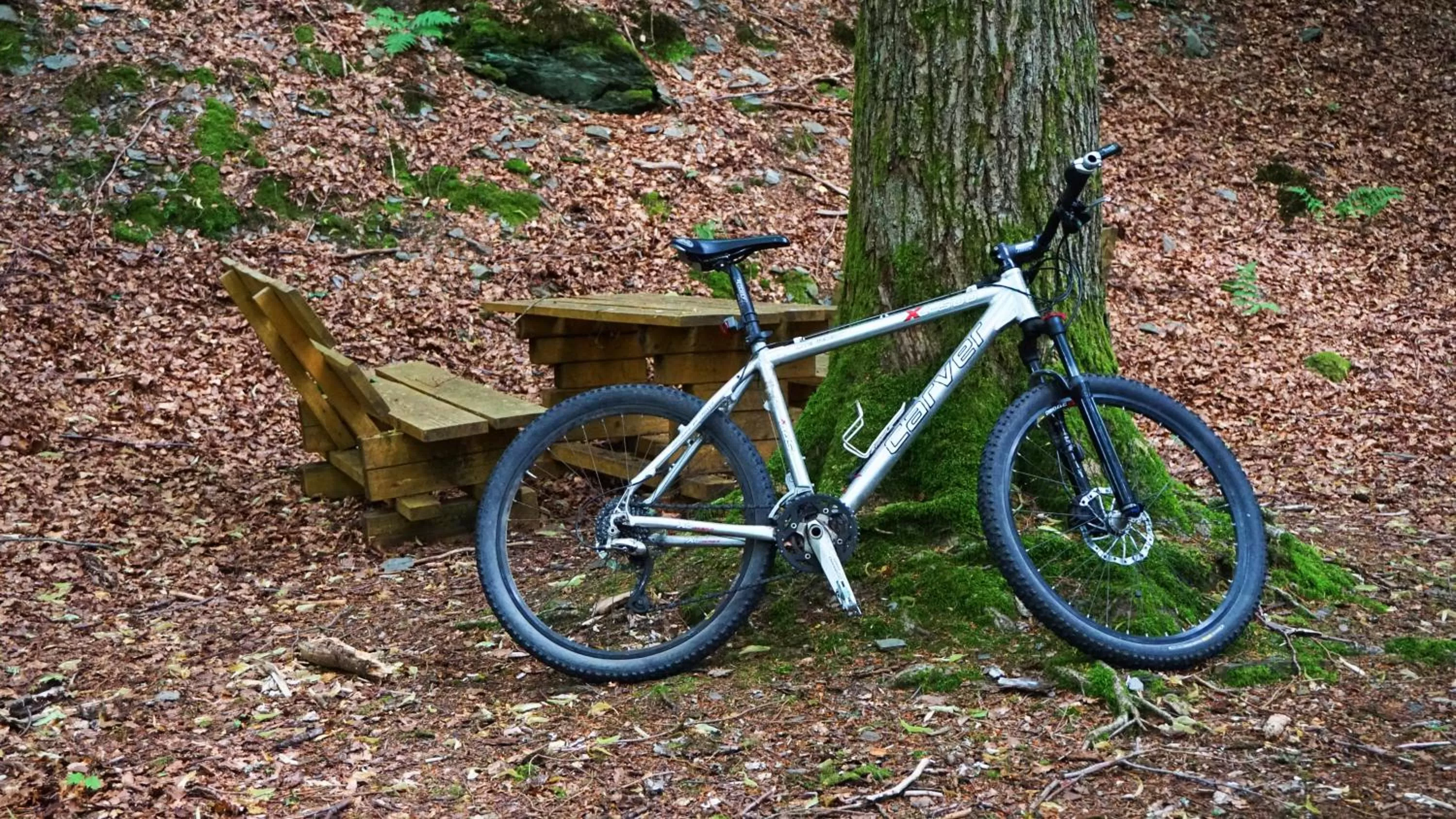 Cycling in Hotel Beck