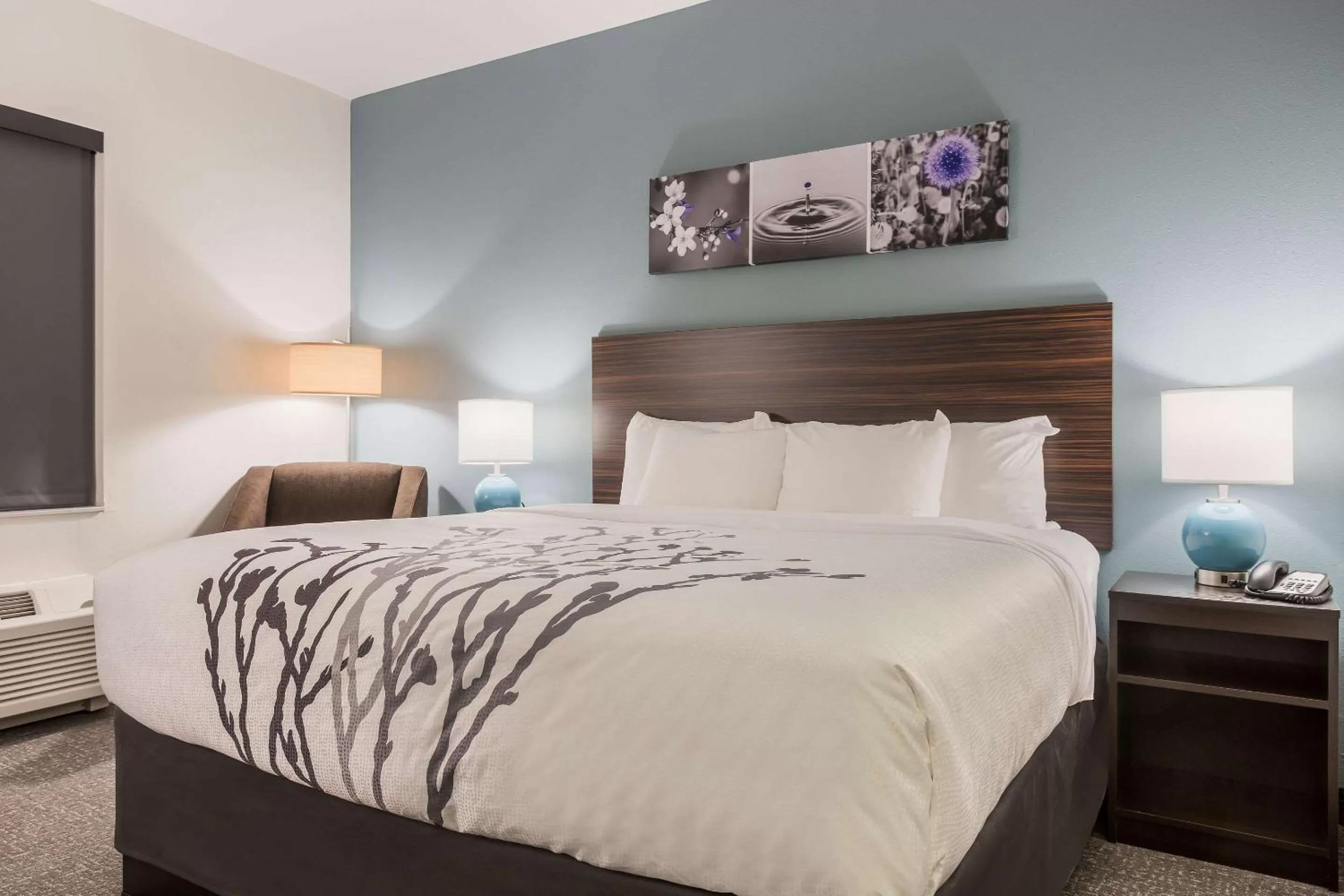 Photo of the whole room, Bed in Sleep Inn & Suites Webb City