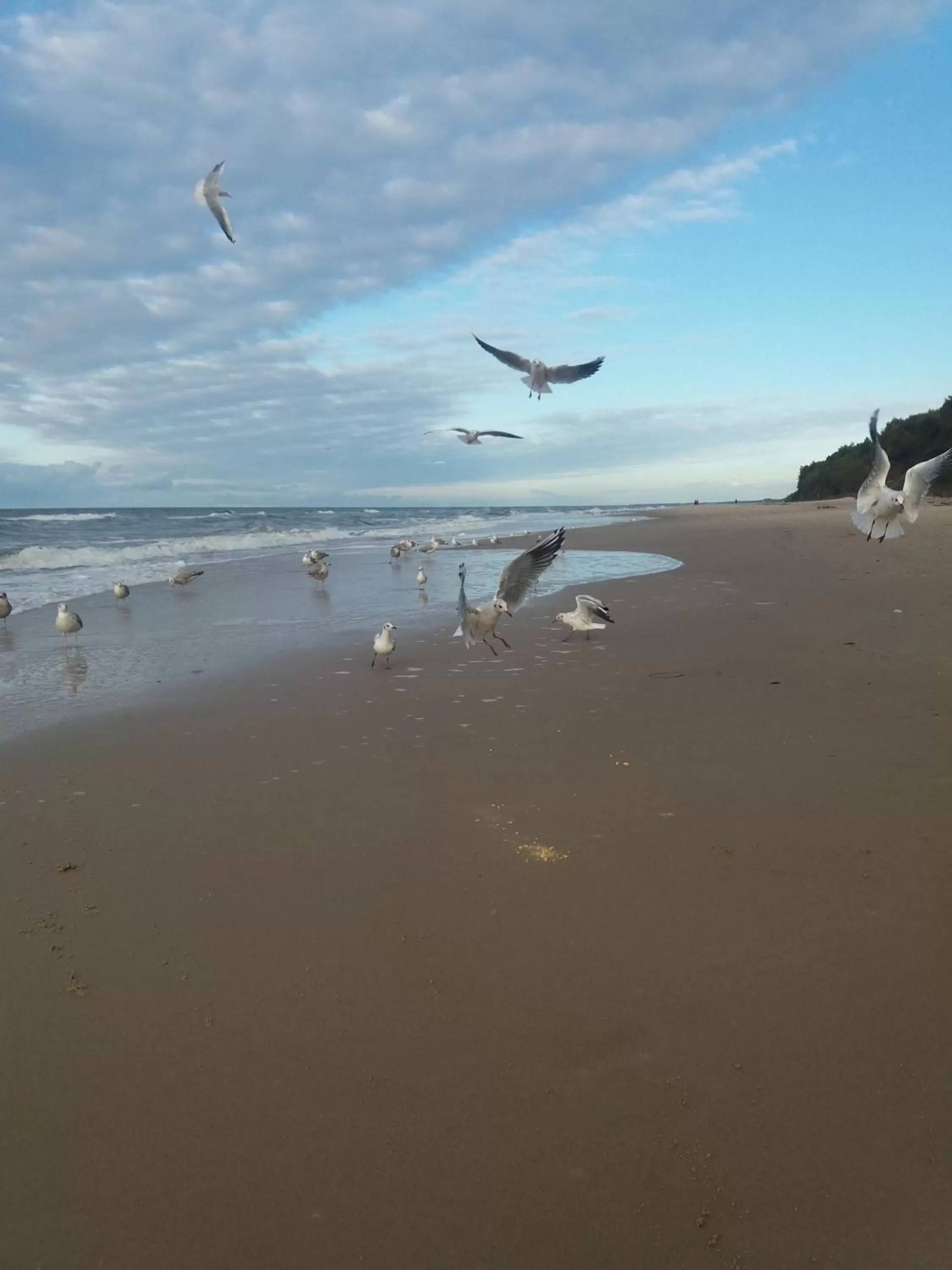 Sea view in Interferie Cechsztyn